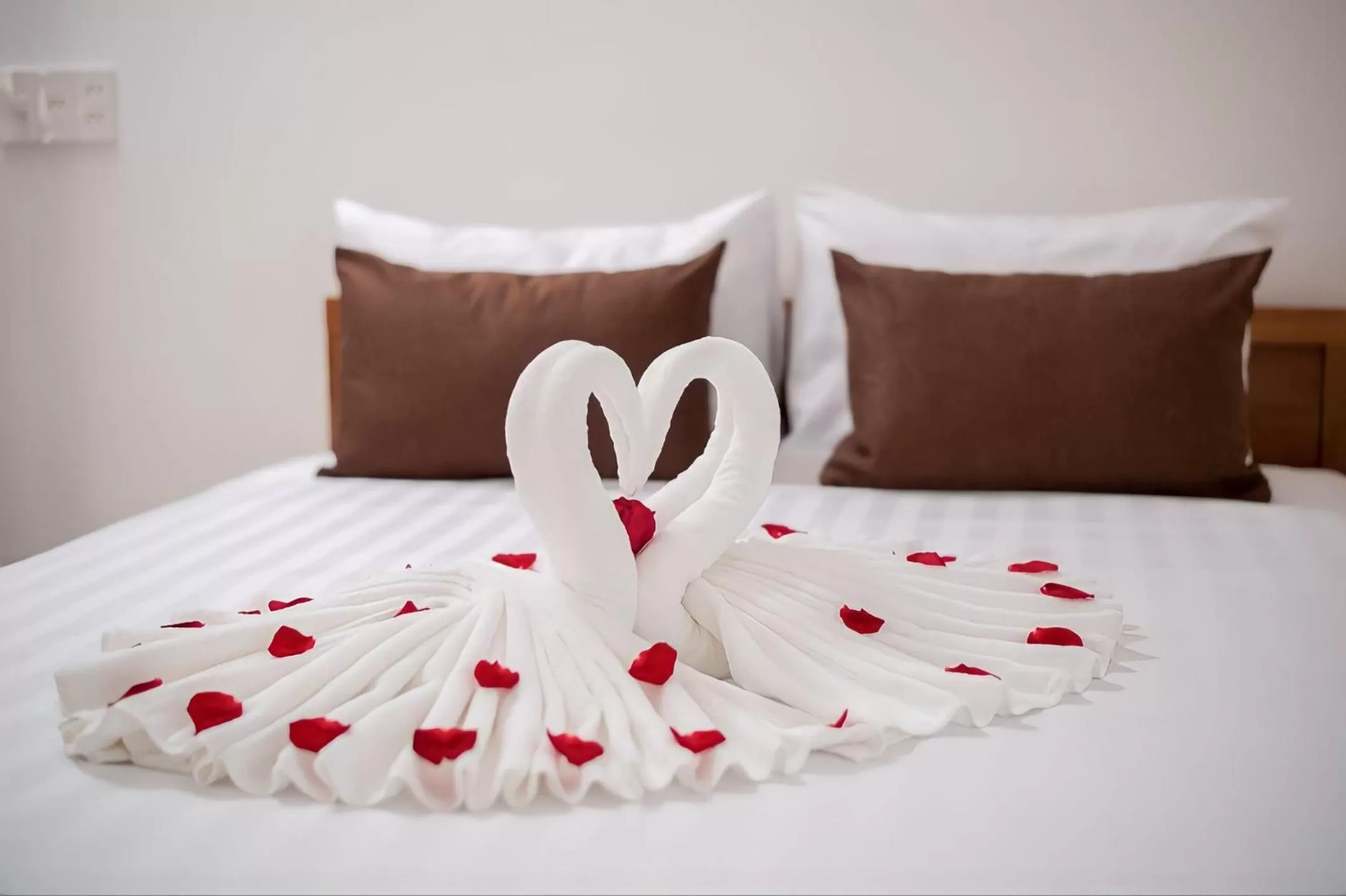 Photo of the whole room, Bed in Tomorrow Oasis Boutique Villa Hoi An