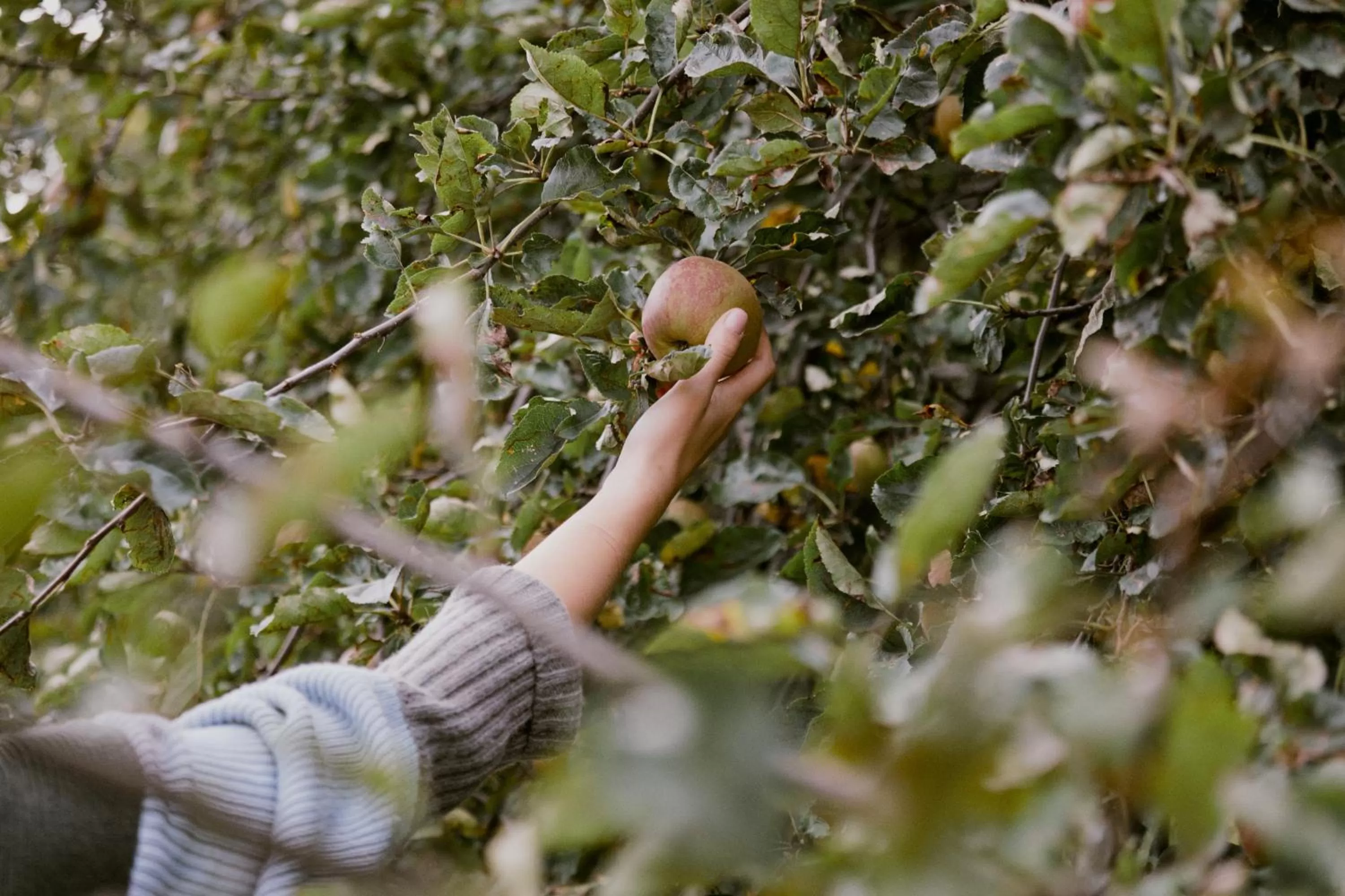 Property building in Hotel Villa Eva