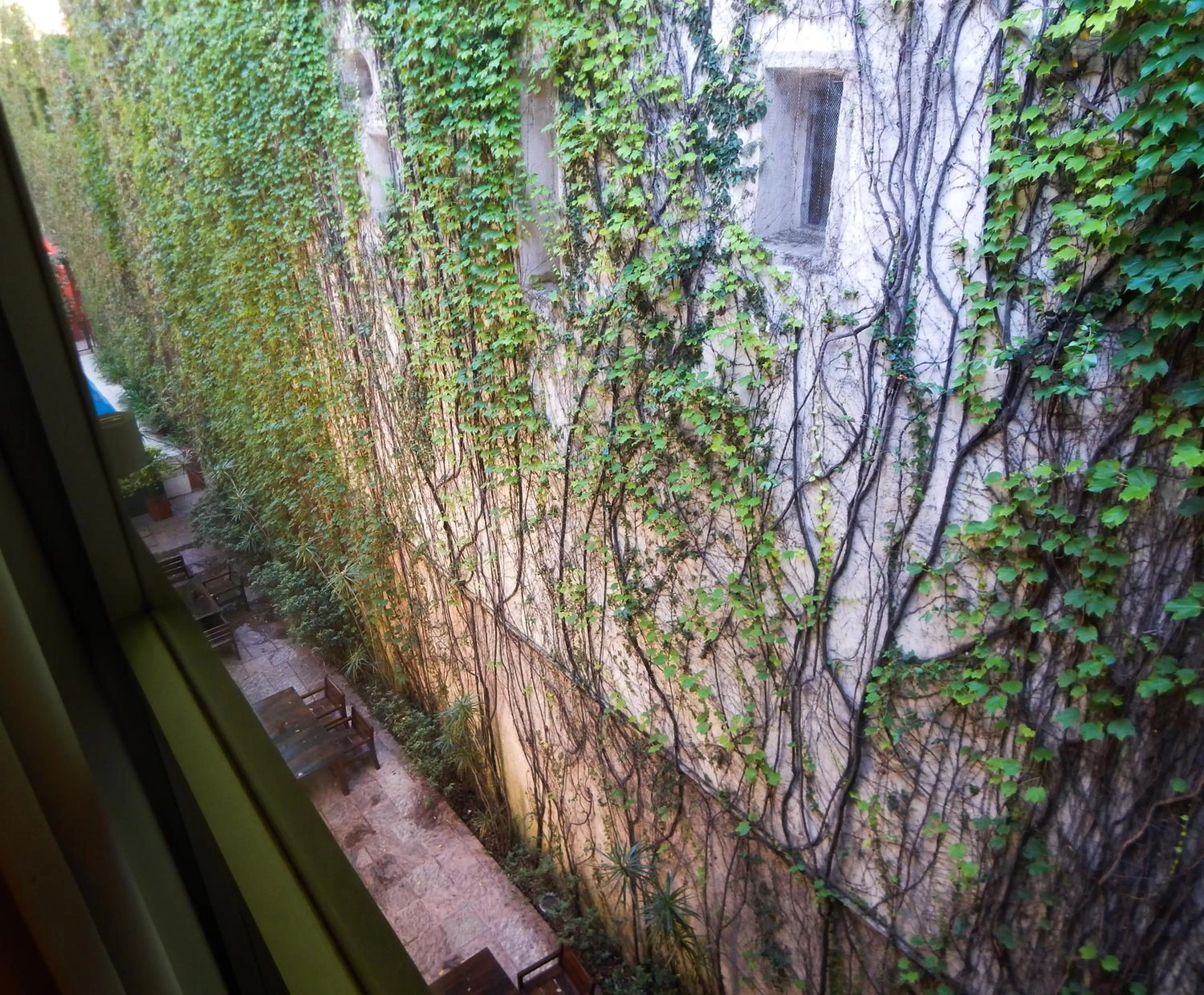 Garden view in Ribera Sur Hotel