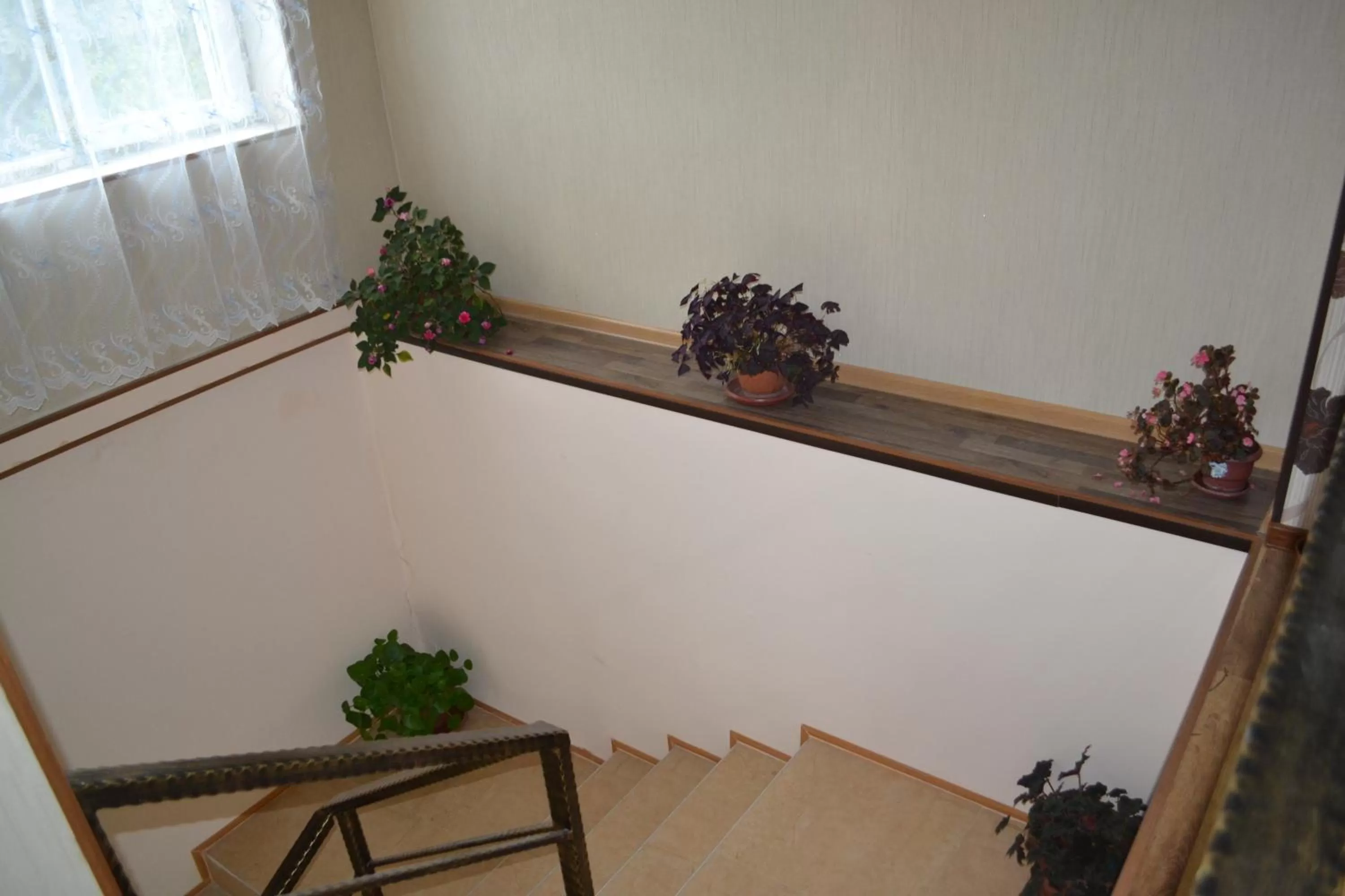 Other in Martvili Newhotel