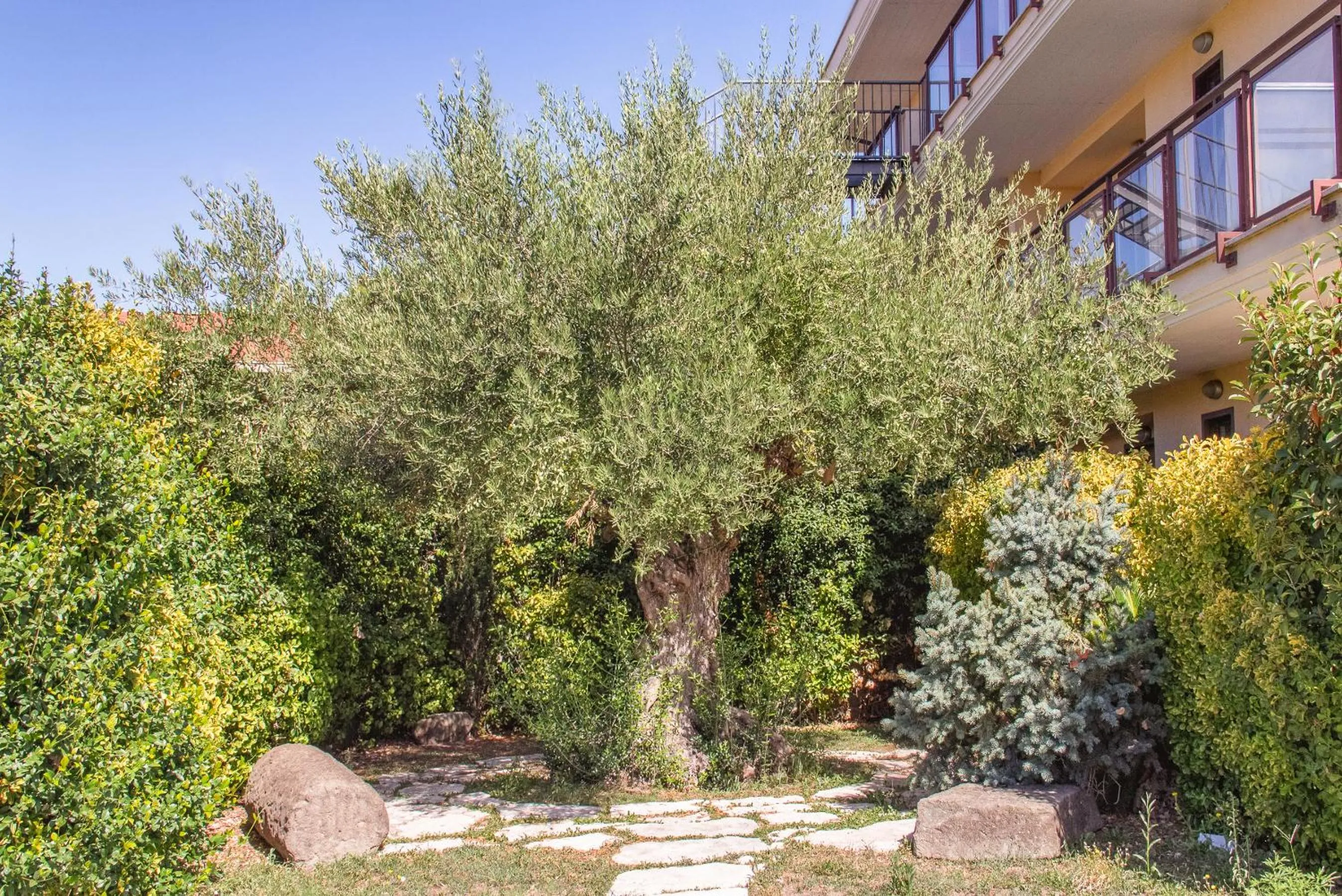 Garden in Excel Hotel Roma Ciampino