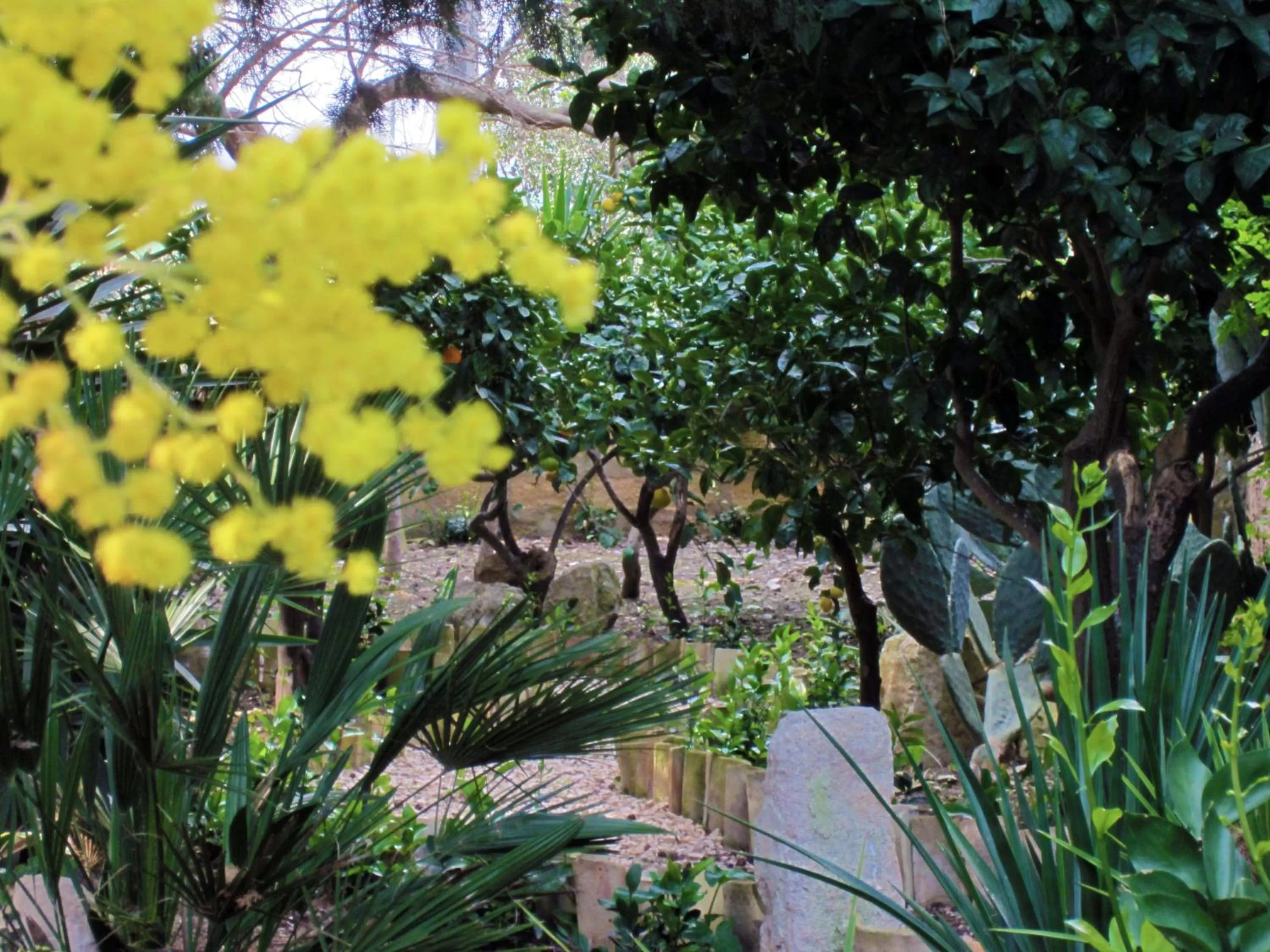 Facade/entrance in Xanadu - Villa Giardinata