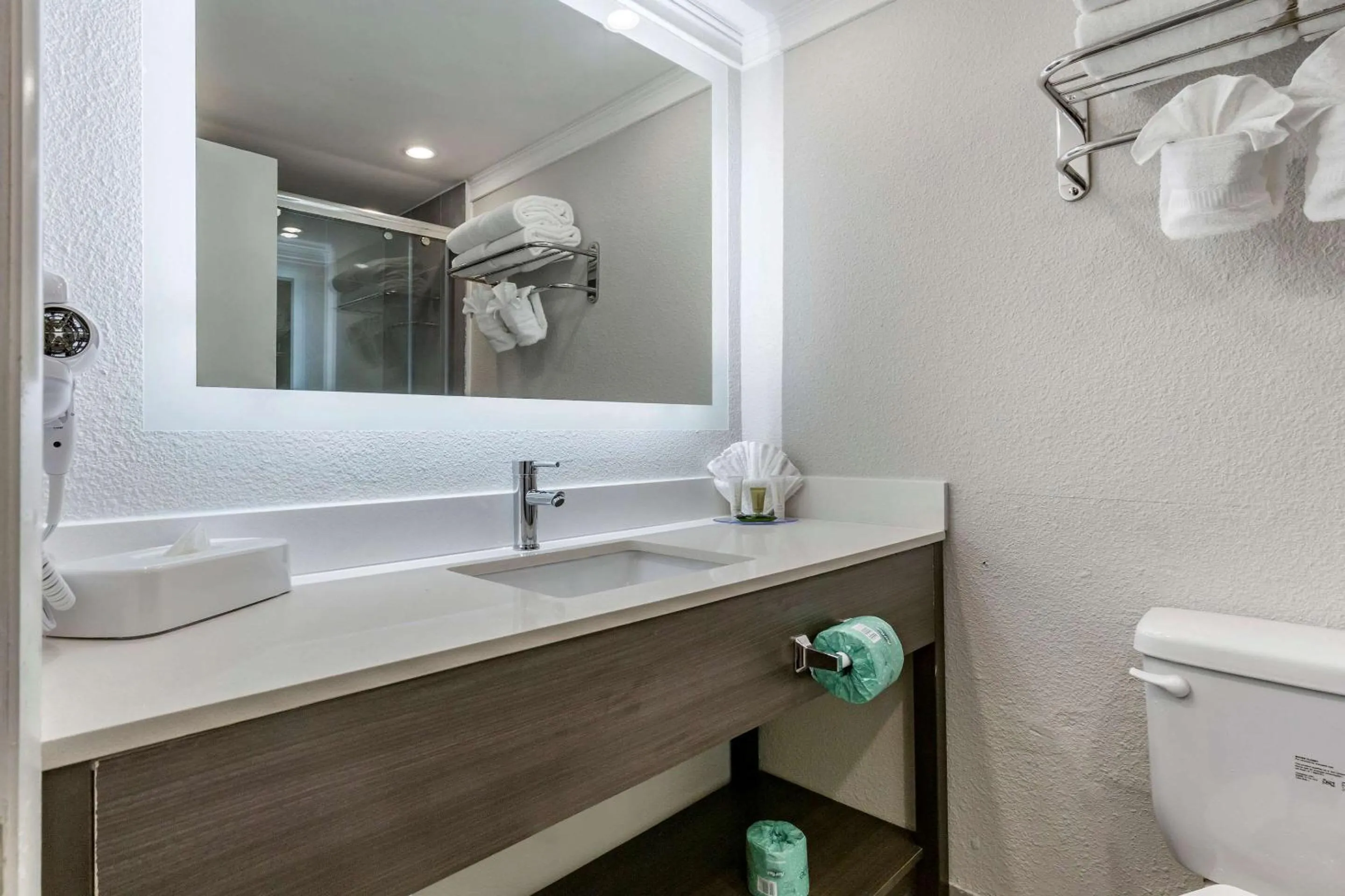 Bathroom in Clarion Pointe Raleigh Midtown