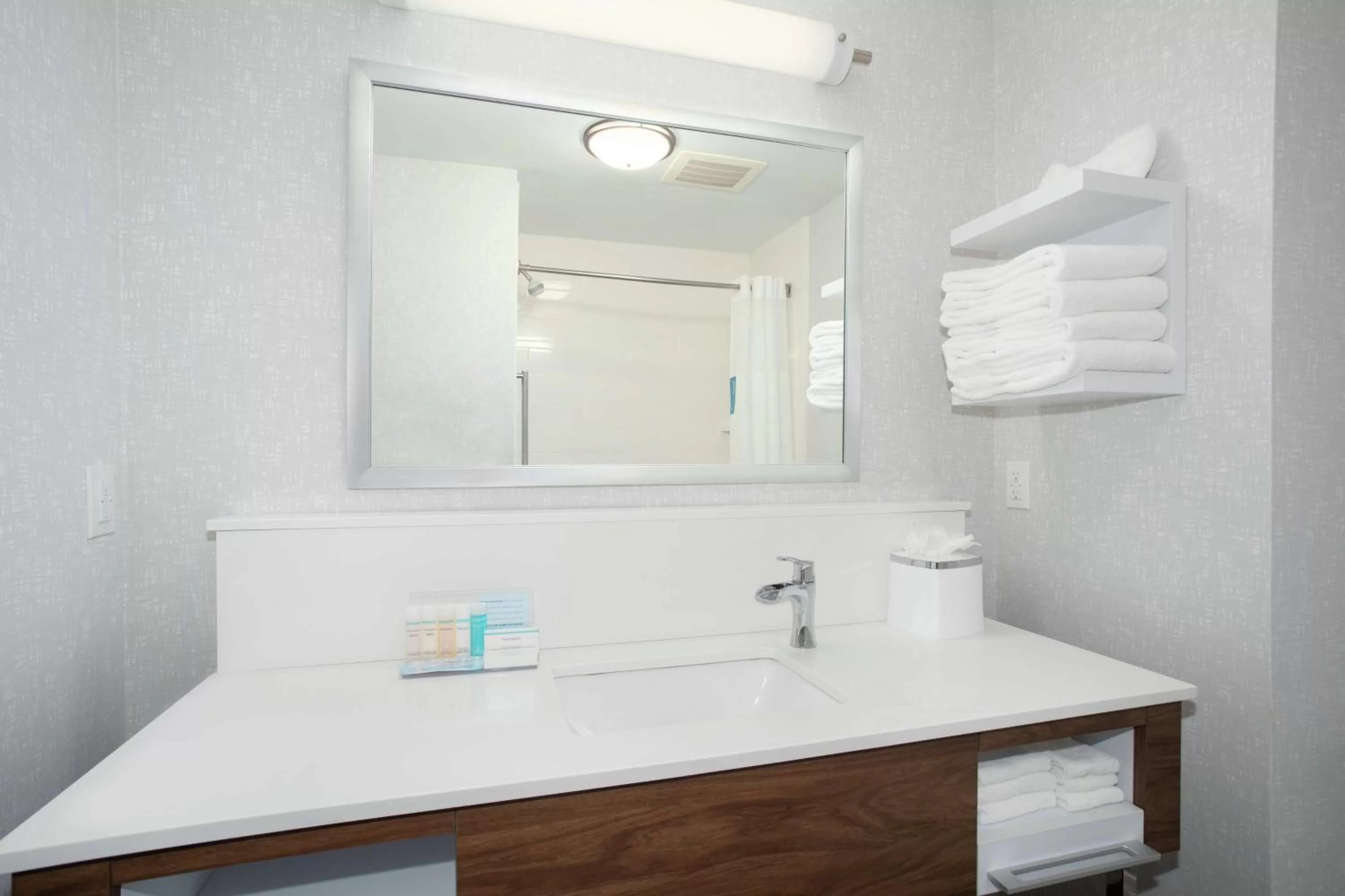 Bathroom in Hampton Inn Bellevue