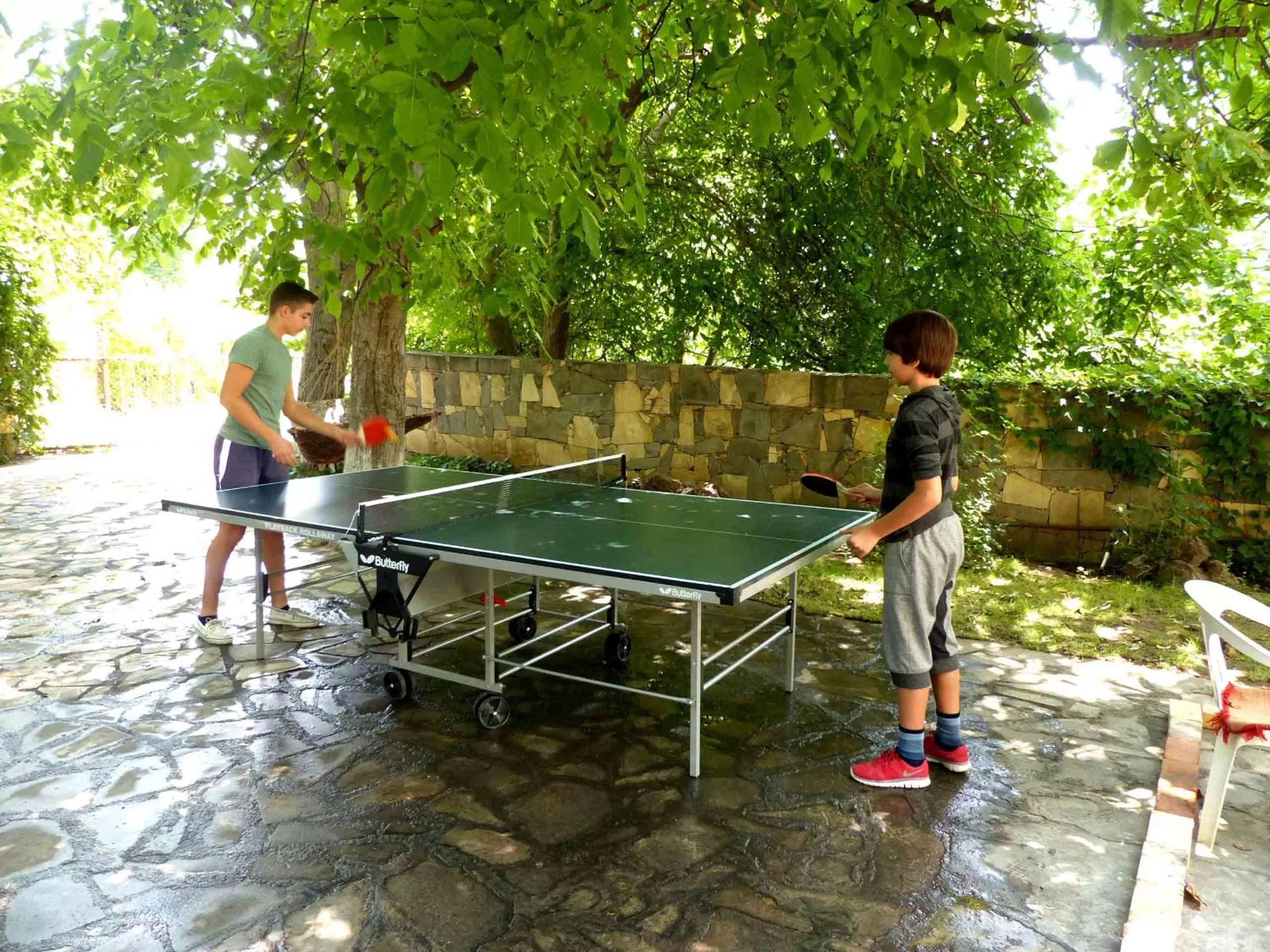 Table tennis in Green Stone Boutique Hotel