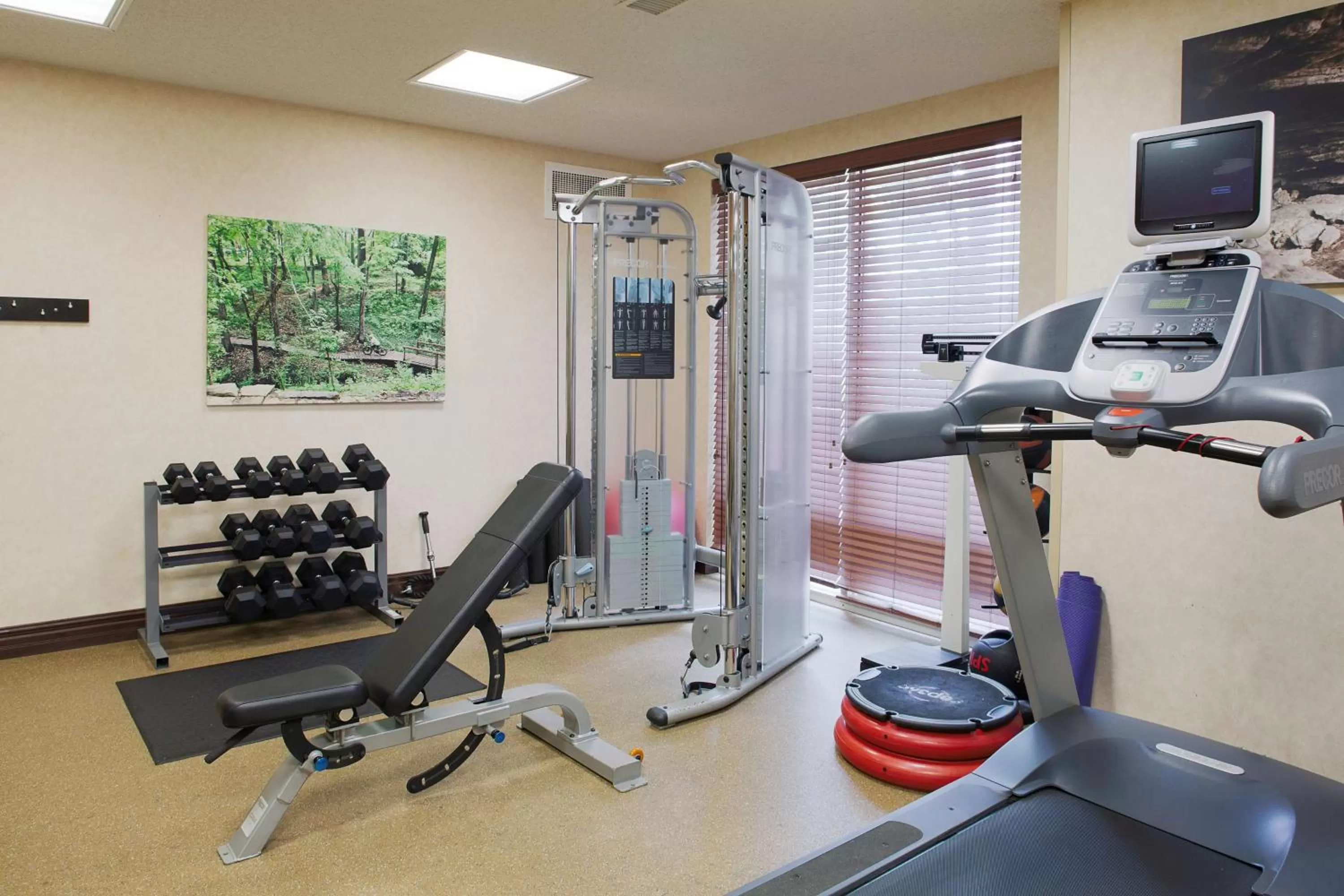 Fitness centre/facilities in Hilton Garden Inn Bentonville Rogers