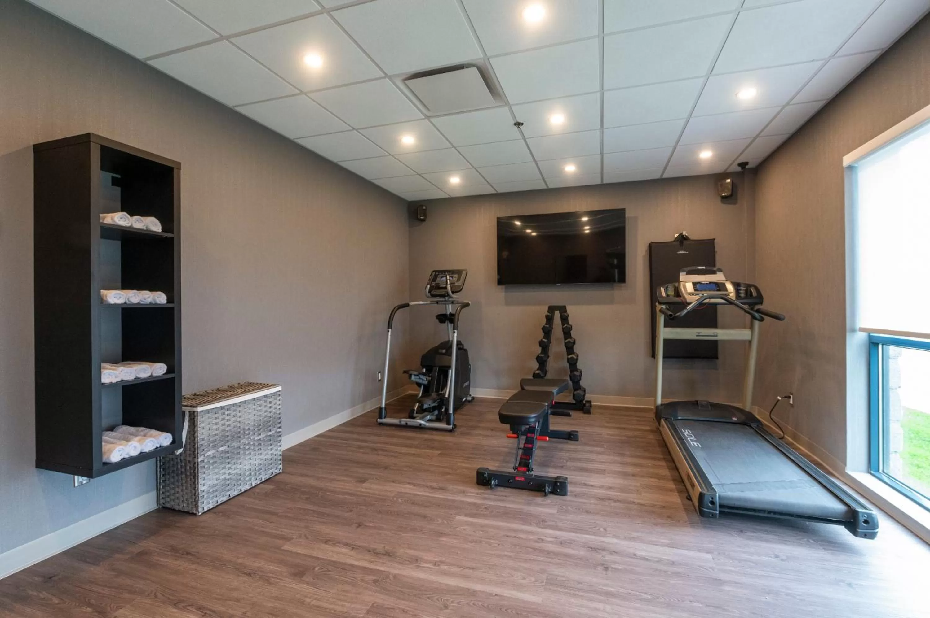 Fitness centre/facilities in Hôtel & Suites Le Dauphin Québec