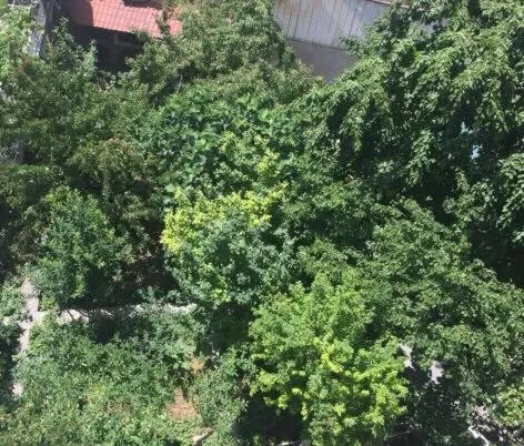 Spring in Royal Boutique Hotel on Kievyan