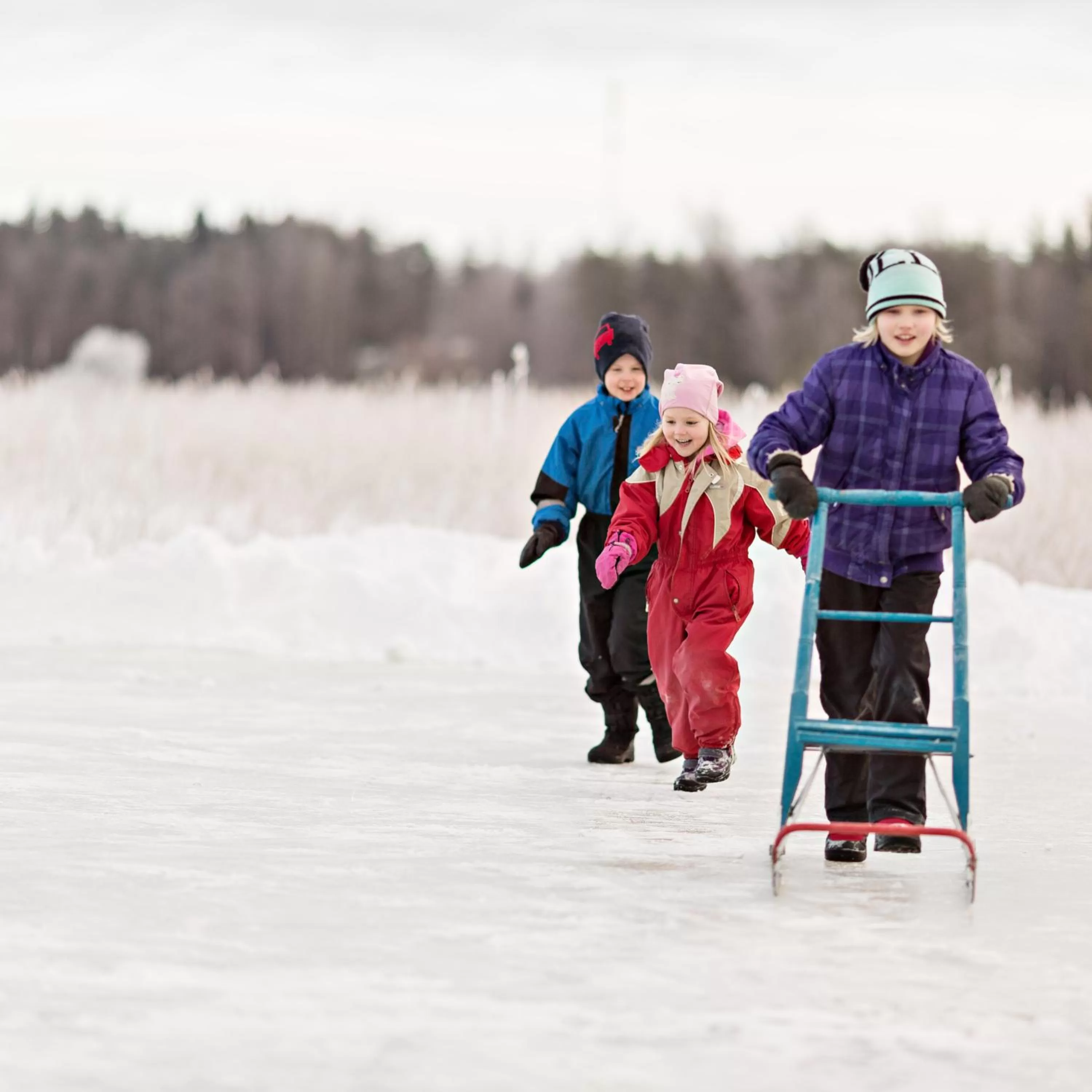 Activities in Peltolan Luomutila