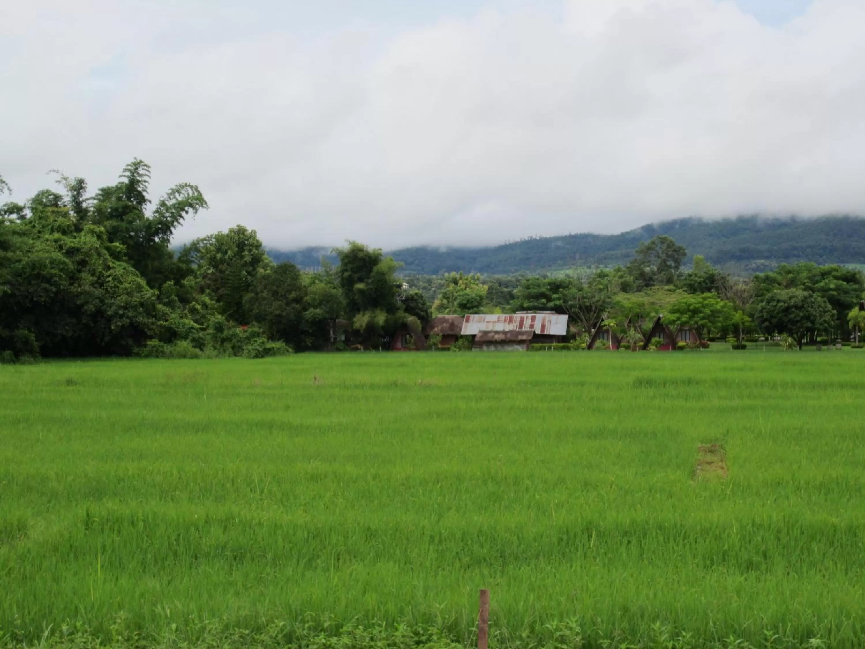 View (from property/room) in Pai My Guest Resort - SHA Plus