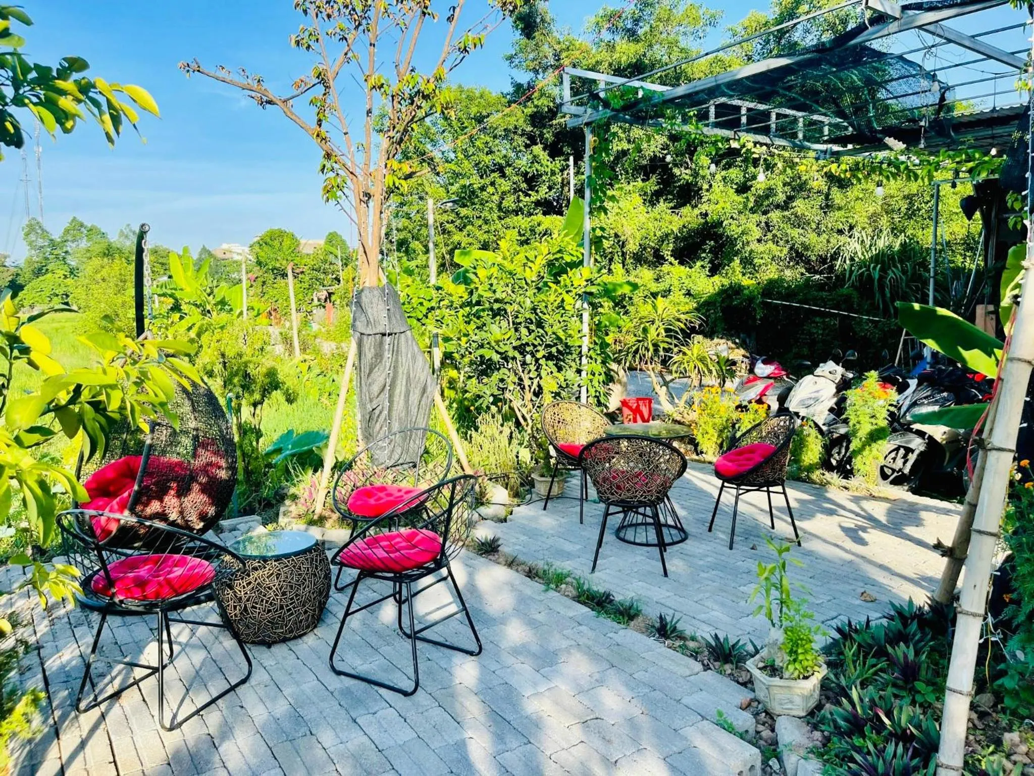 Tam Coc Mountain View Homestay