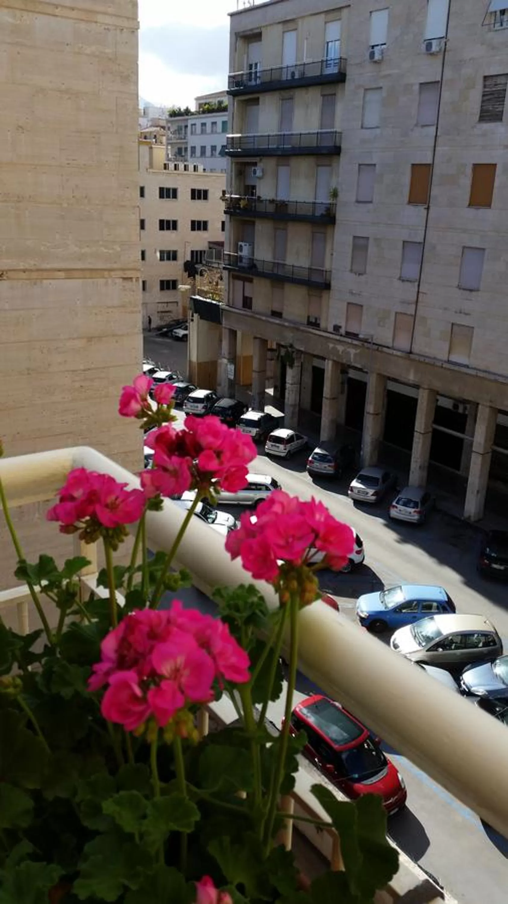 Spring in B&B Casa Rosellina