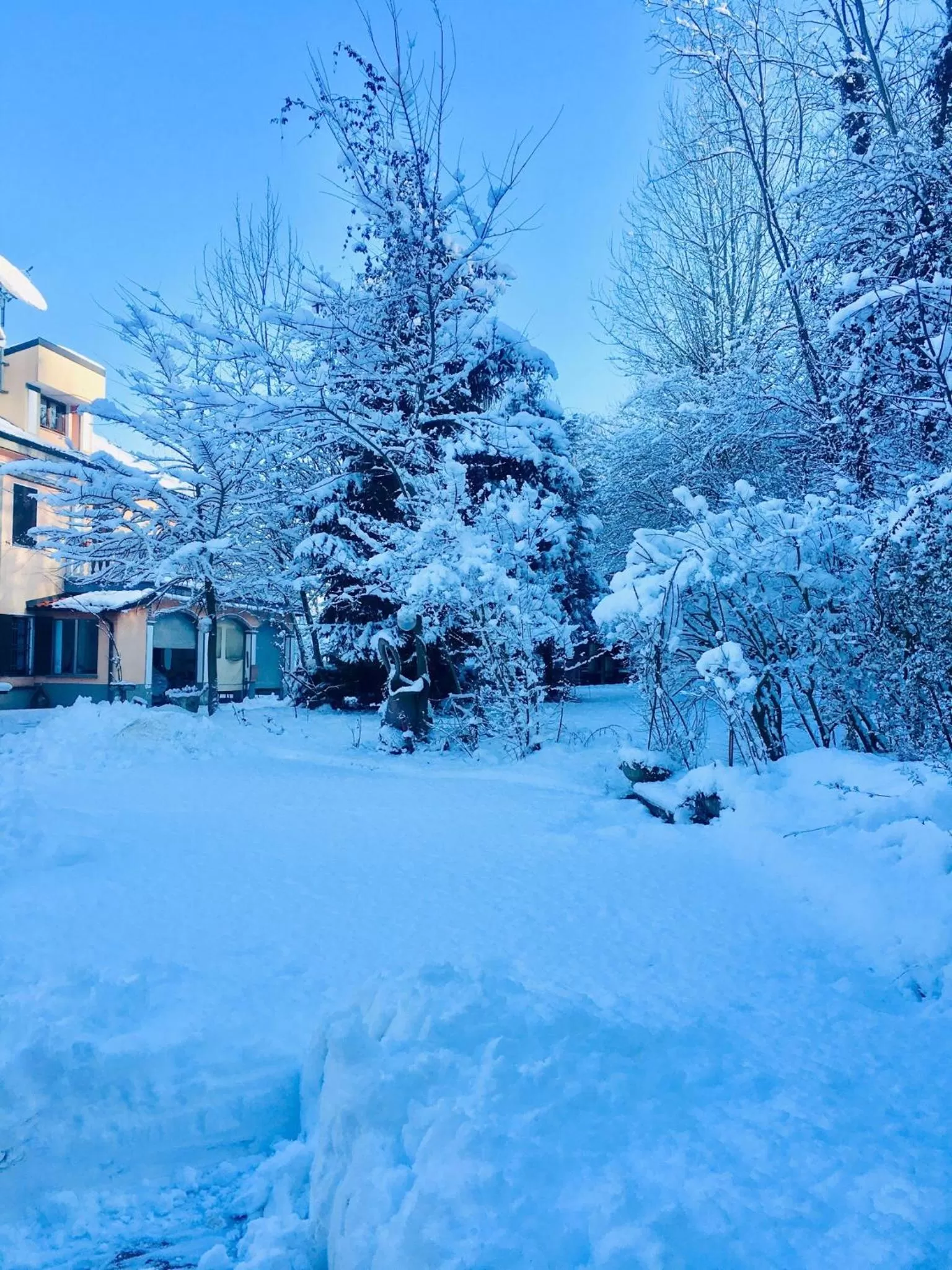 Rossella alla Villarella dei Tulipani