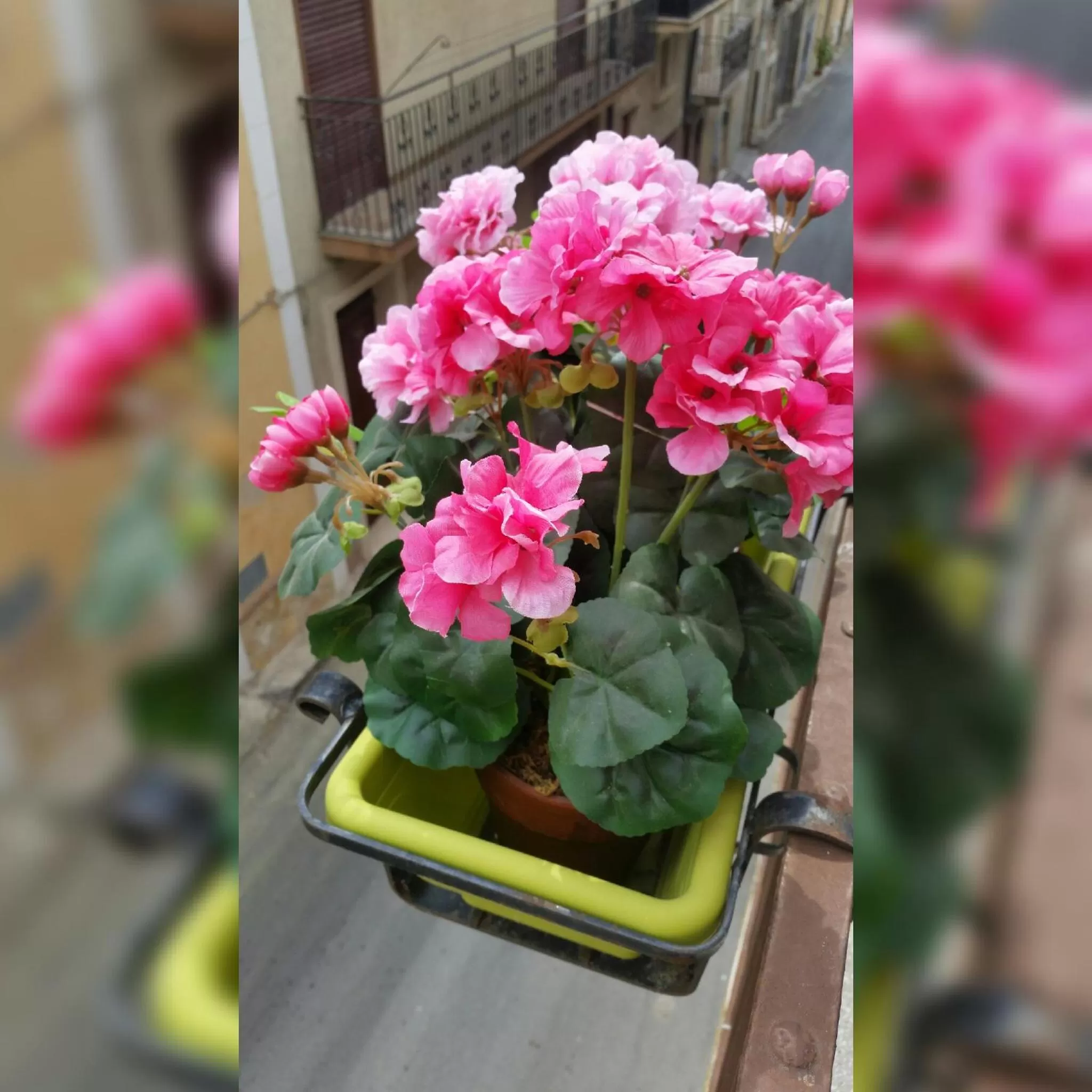 Decorative detail in La Gardenia