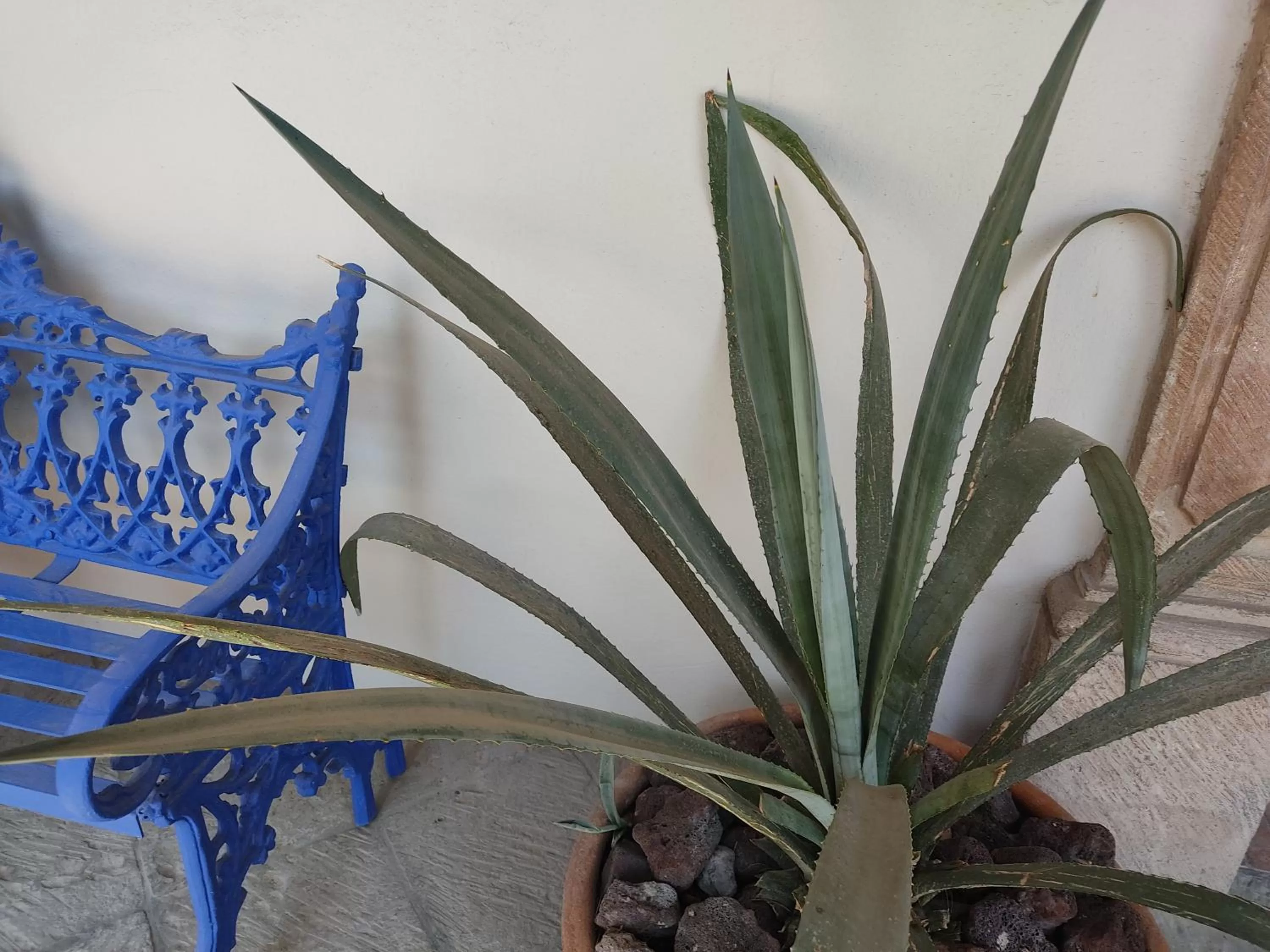 Property building in Casa Goyri San Miguel de Allende