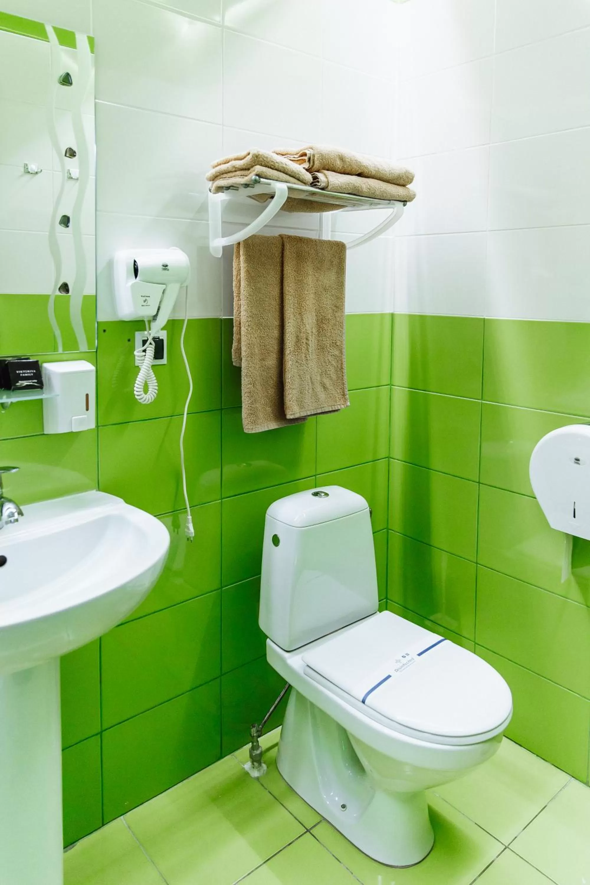 Toilet in Viktoriya Family Hotel Restaurant complex