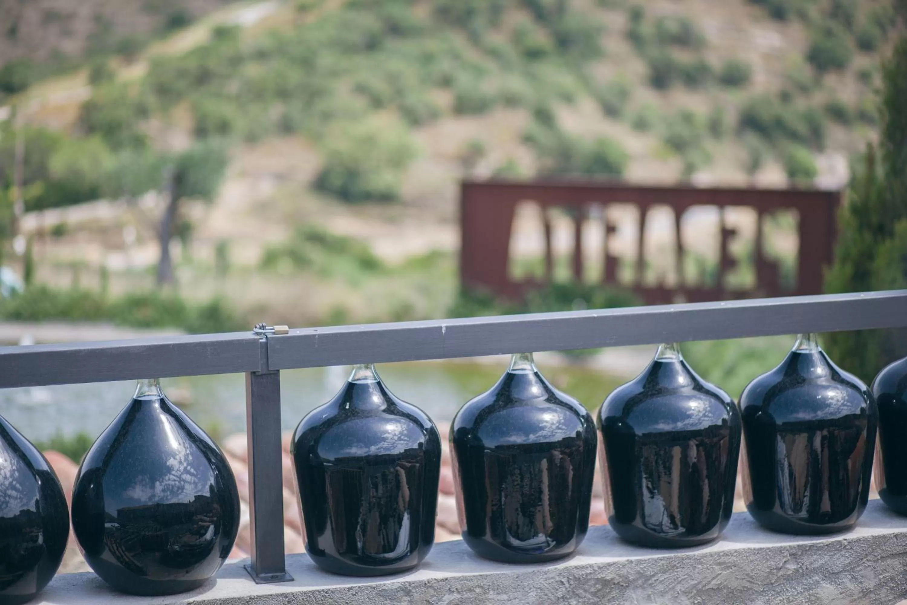 Garden view in Sa Perafita - MF