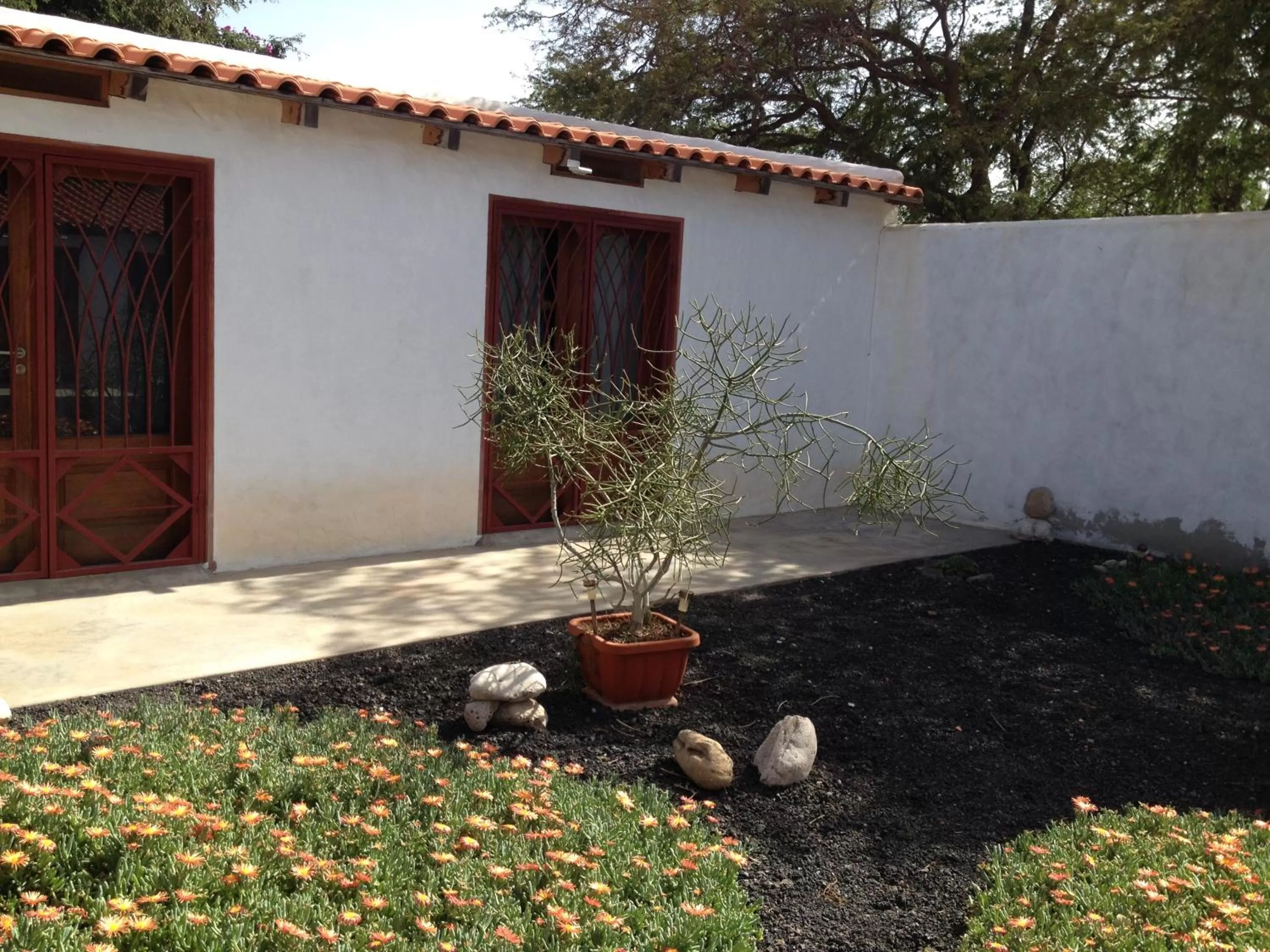 Patio in Villa Morabeza Guest House