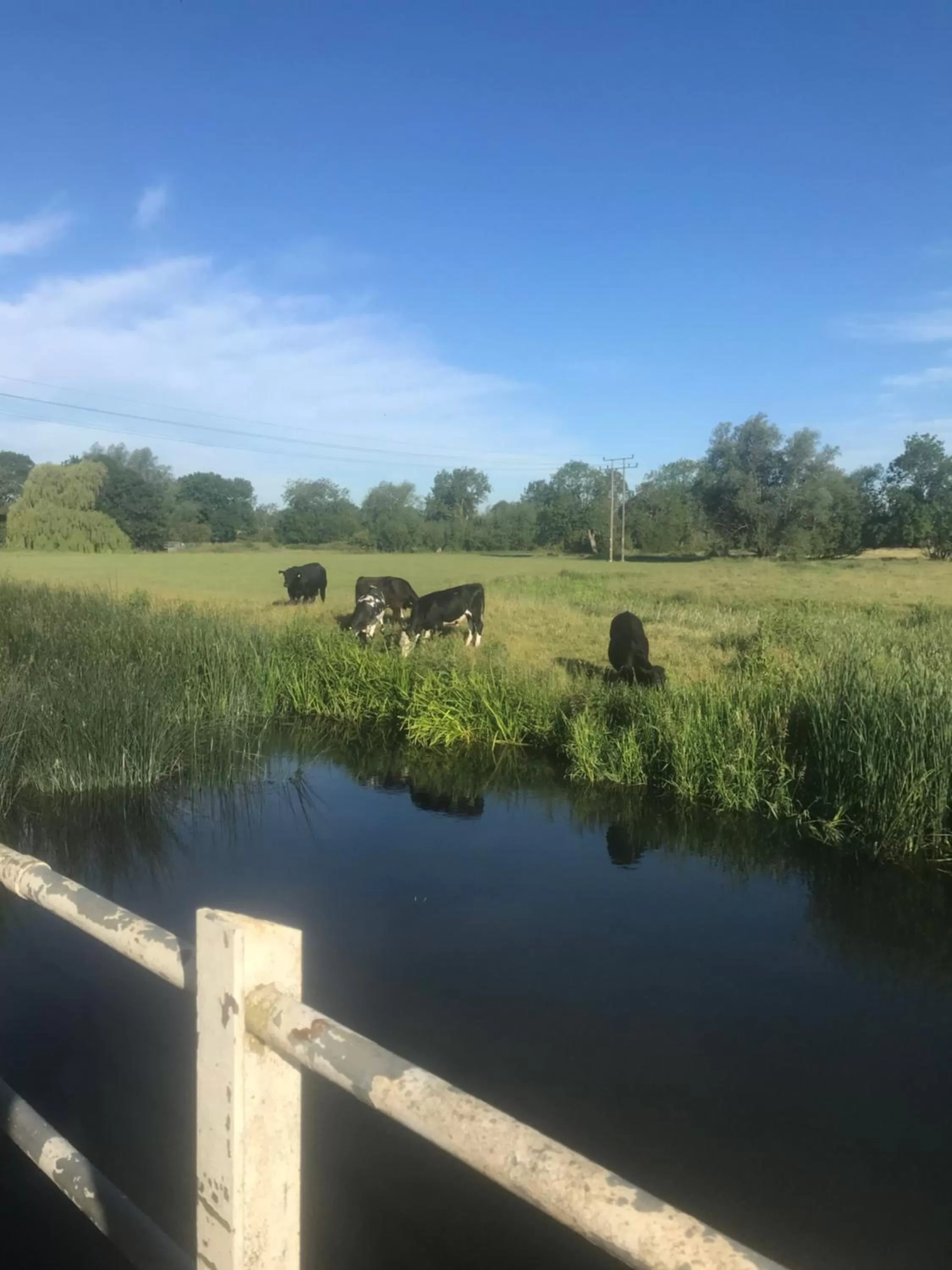 St.Catherine`s Cottage, The Old School House
