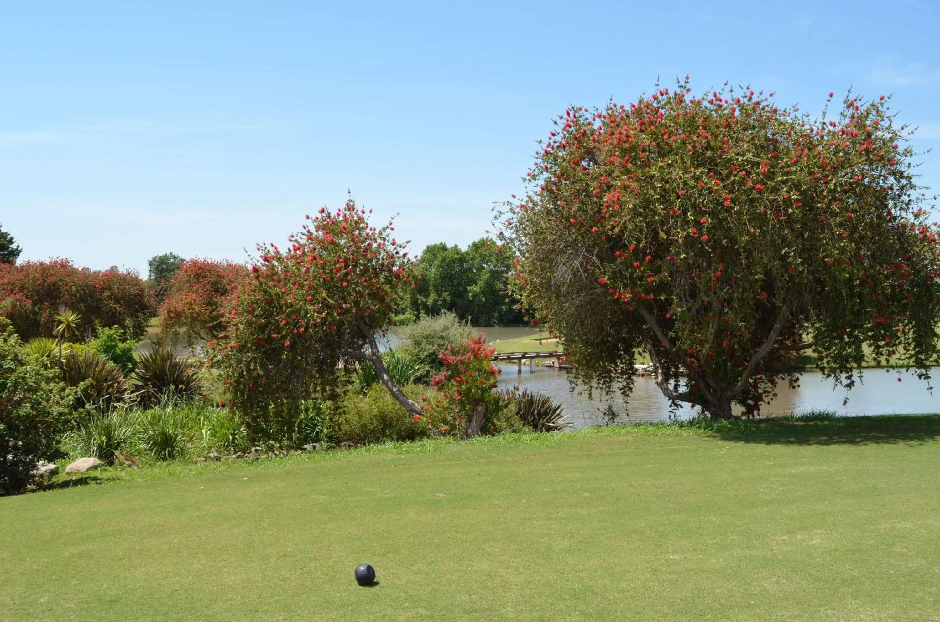 Sports in Hilton Pilar