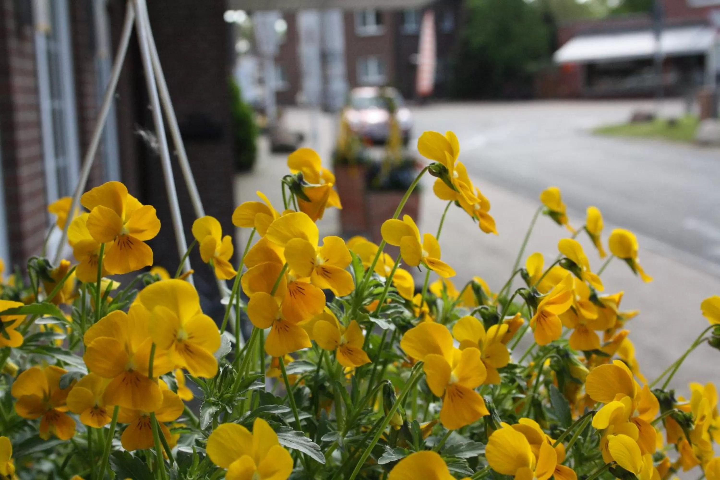 Decorative detail in Hotel König-Stuben