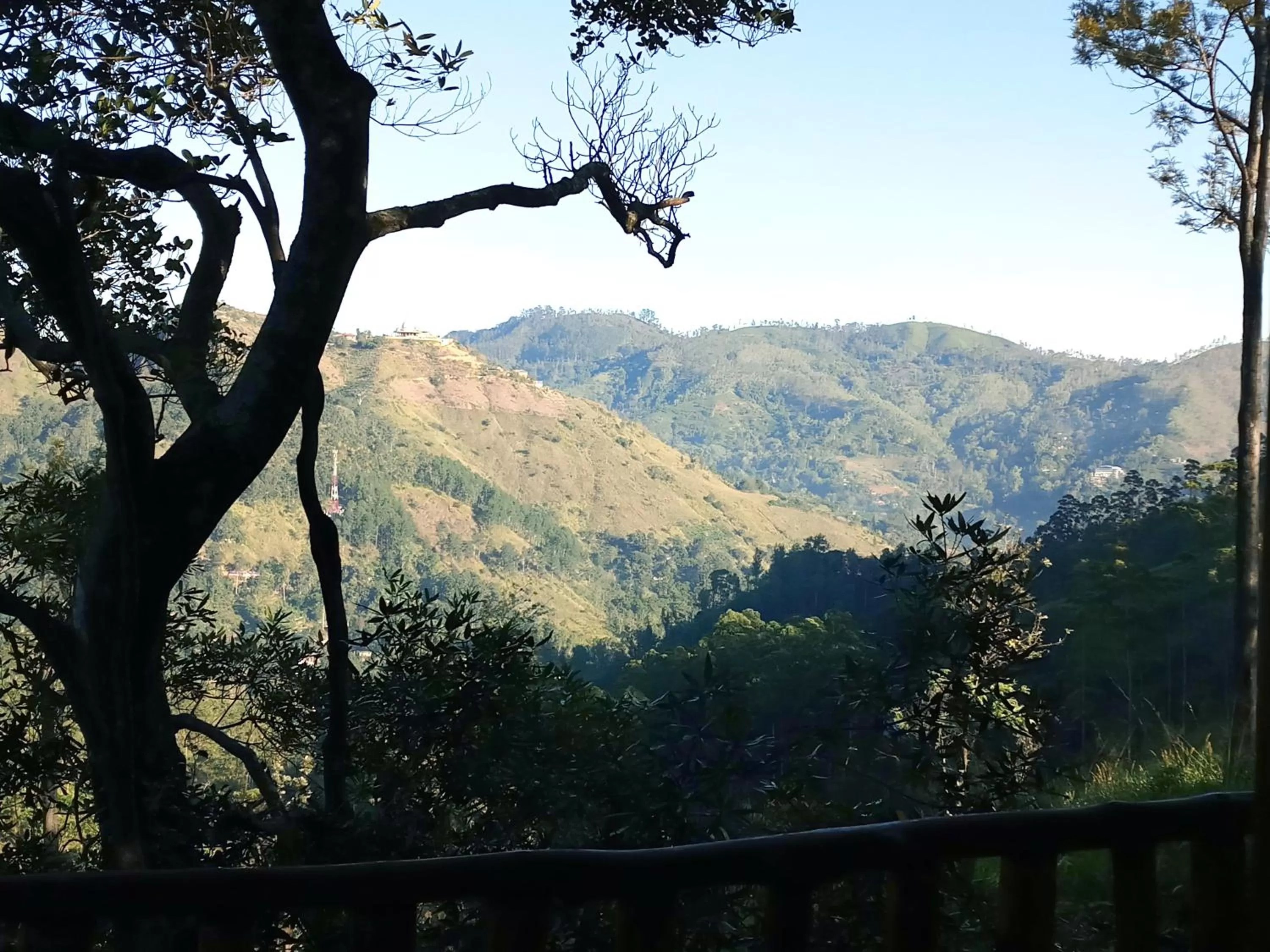 Bird's eye view in Saffron Eco Cottage
