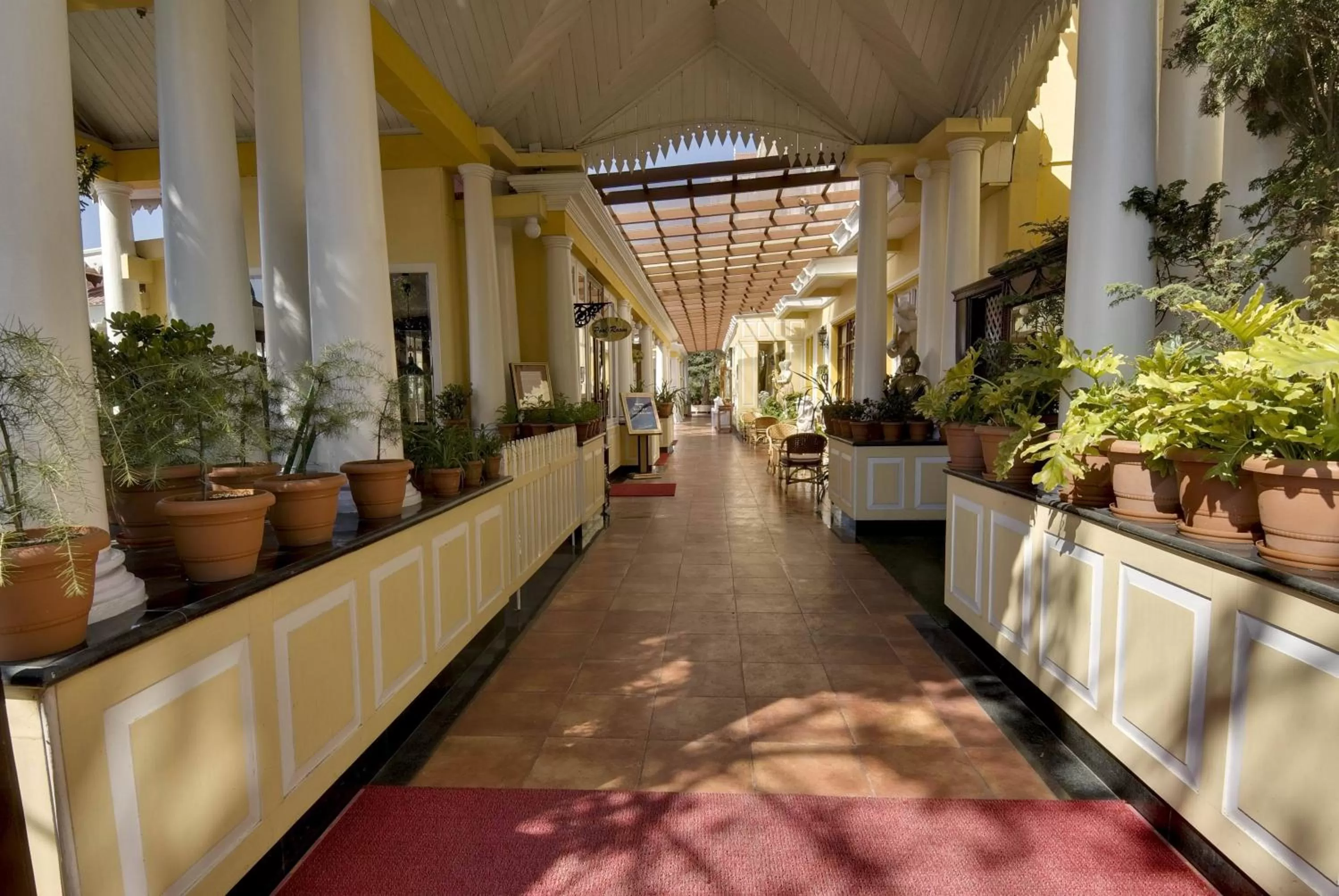 Day in Mayfair Darjeeling