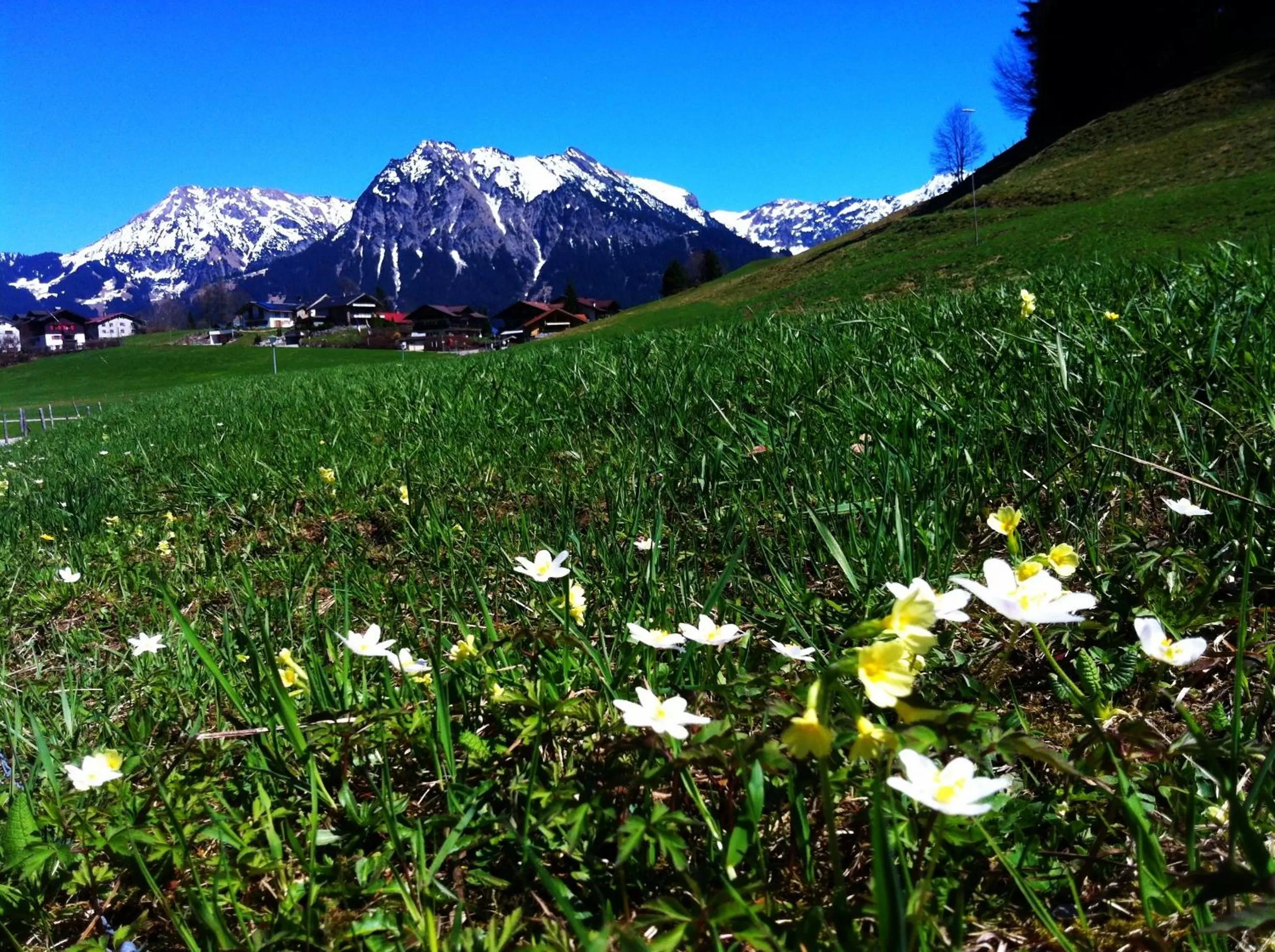 Area and facilities in Hotel Bergruh