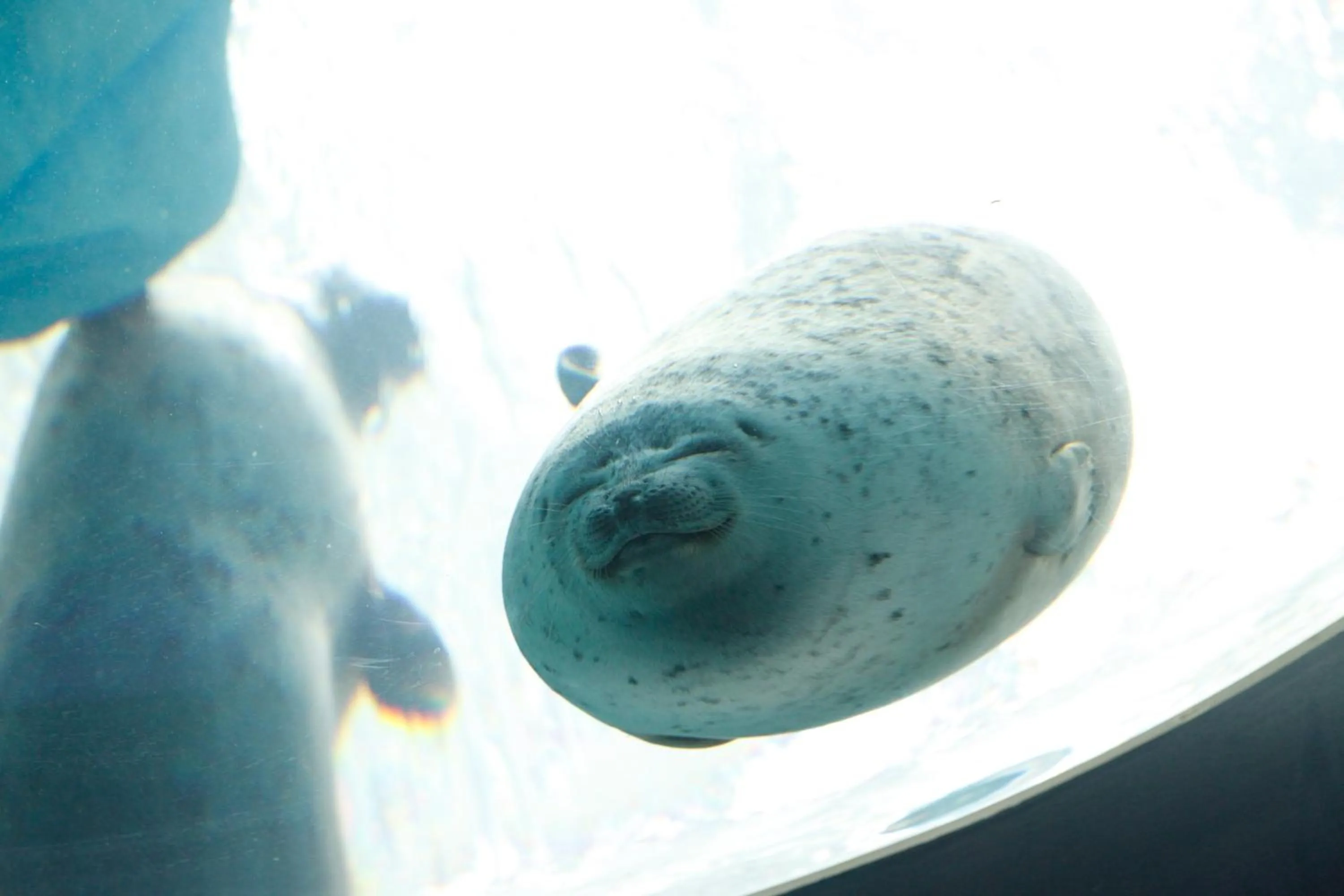 Nearby landmark in KOKO HOTEL Higashiosaka - formerly Hotel Wing International Select Higashi Osaka