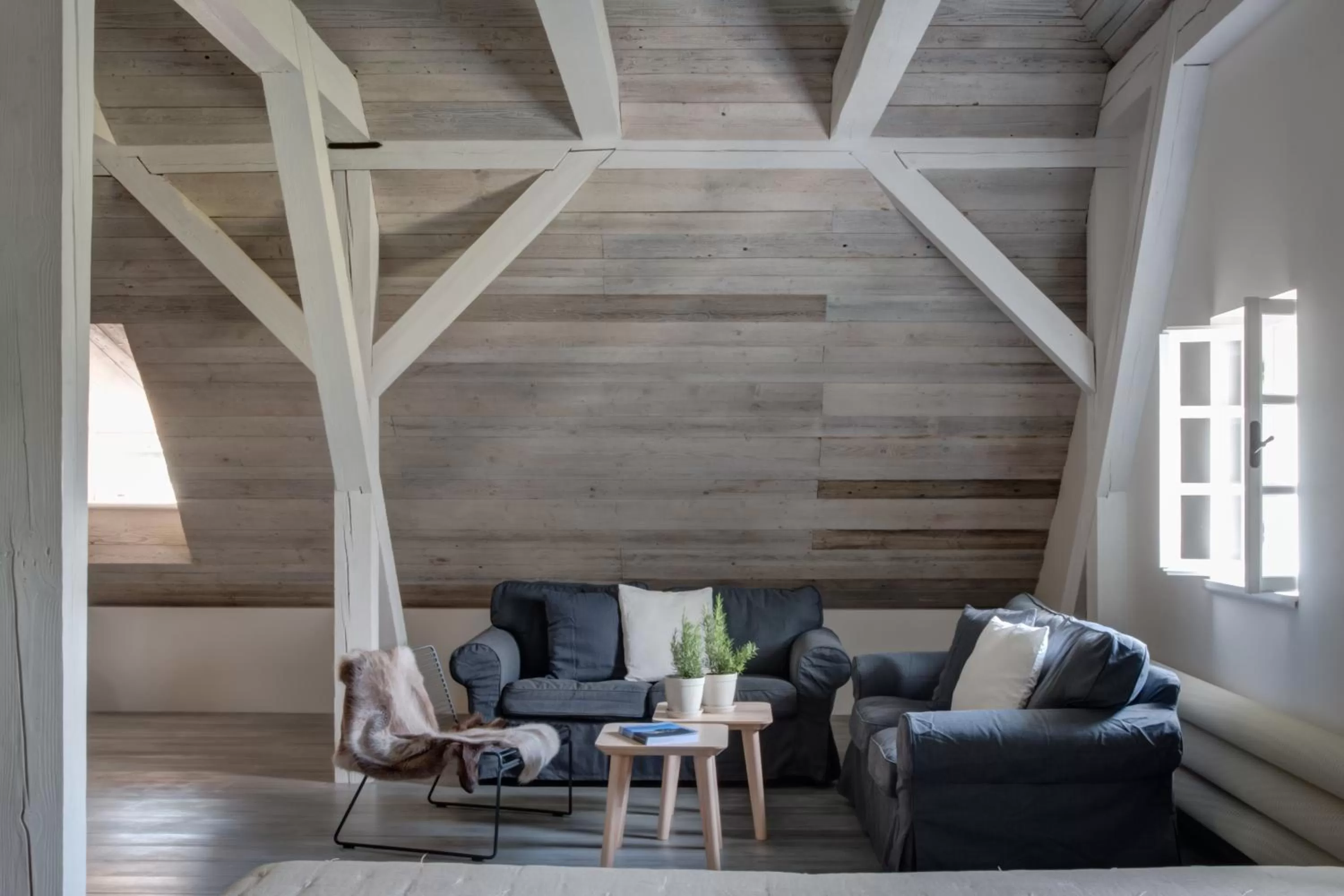 Day in Mezi plůtky boutique dům