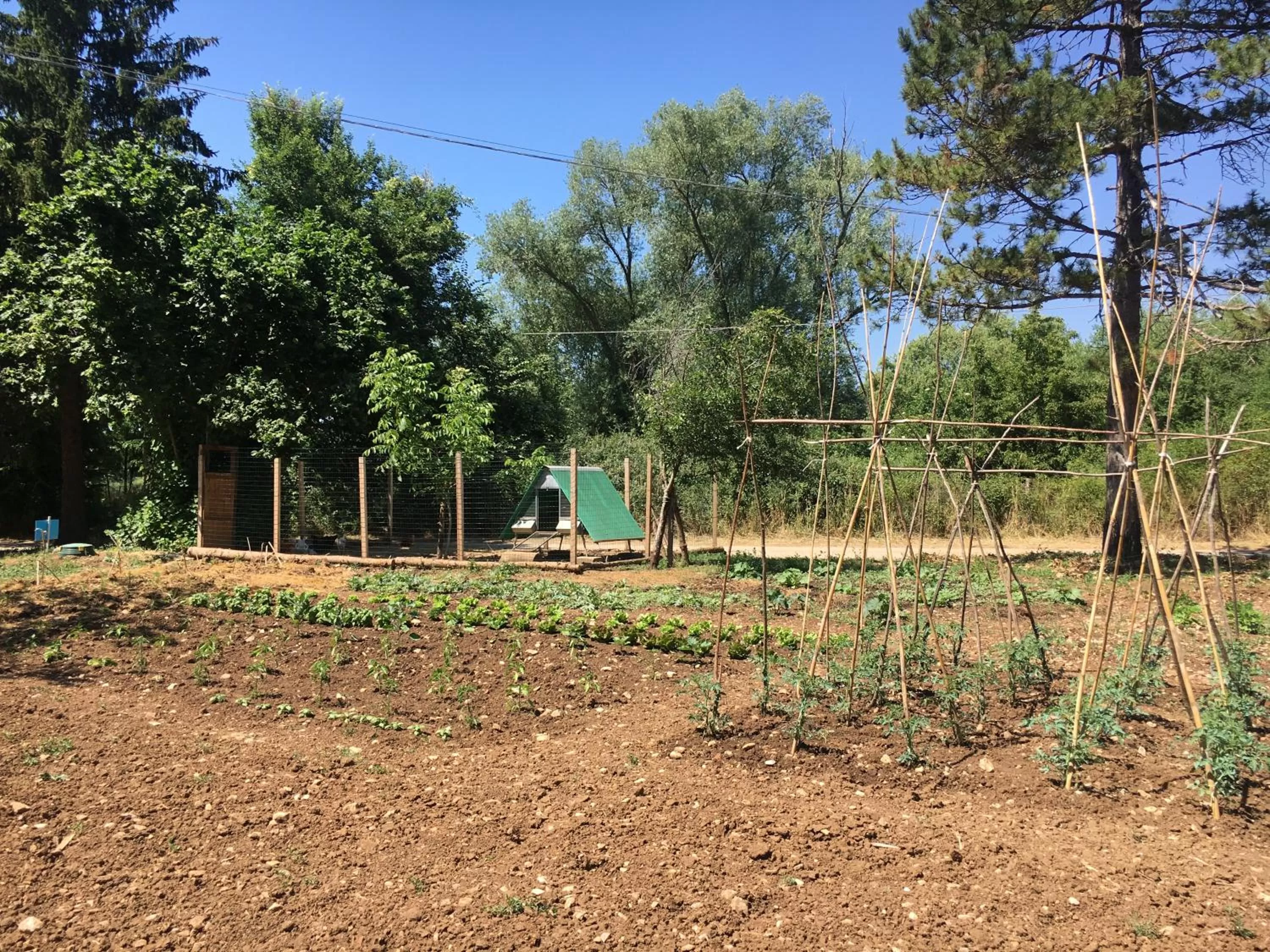 Property building in B&B Calecatine