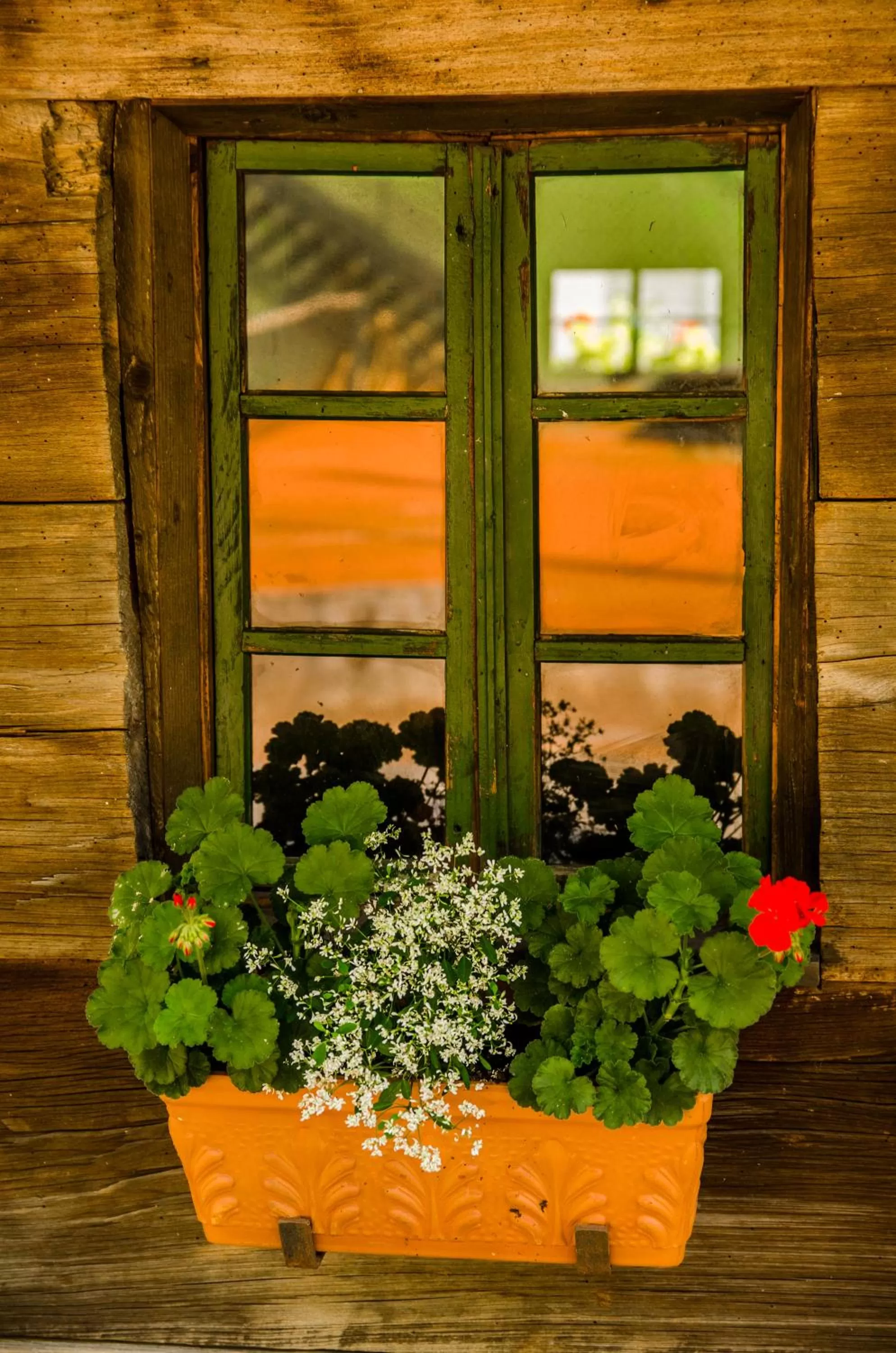 Other in Penzion Park