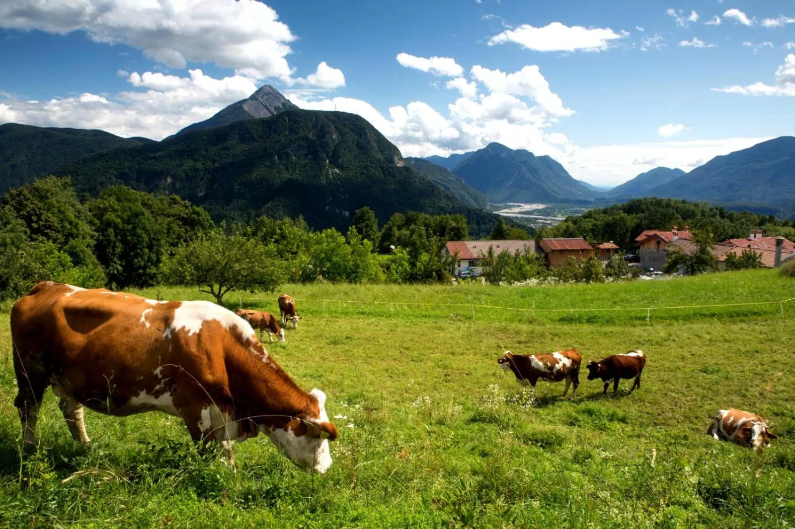 Day in Albergo Diffuso Tolmezzo