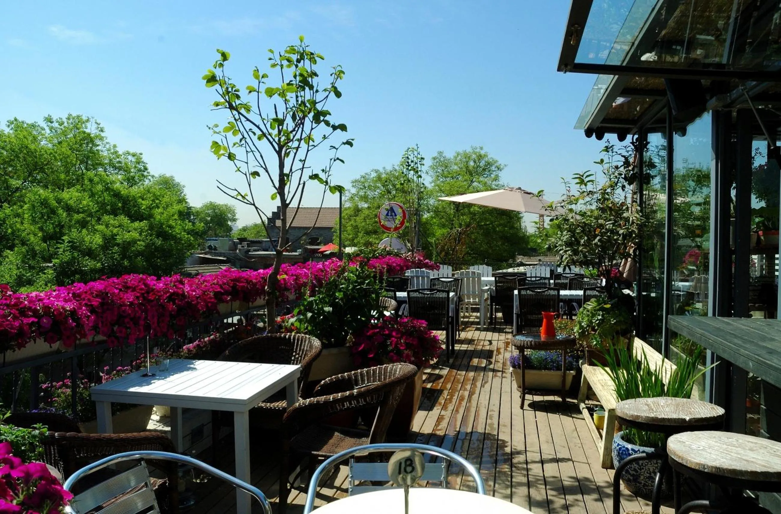 Summer in Peking Youth Hostel