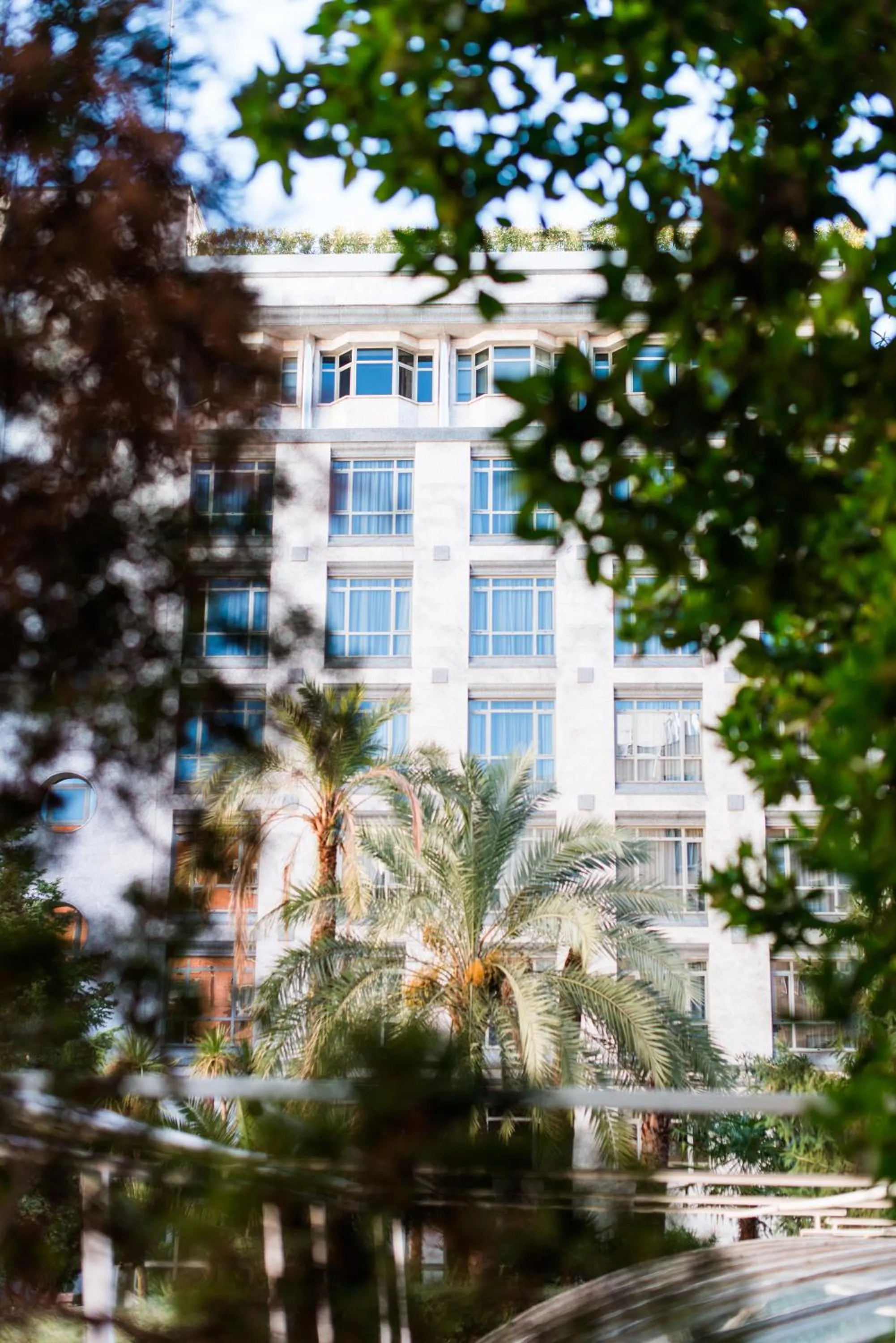 Garden in VP Madroño