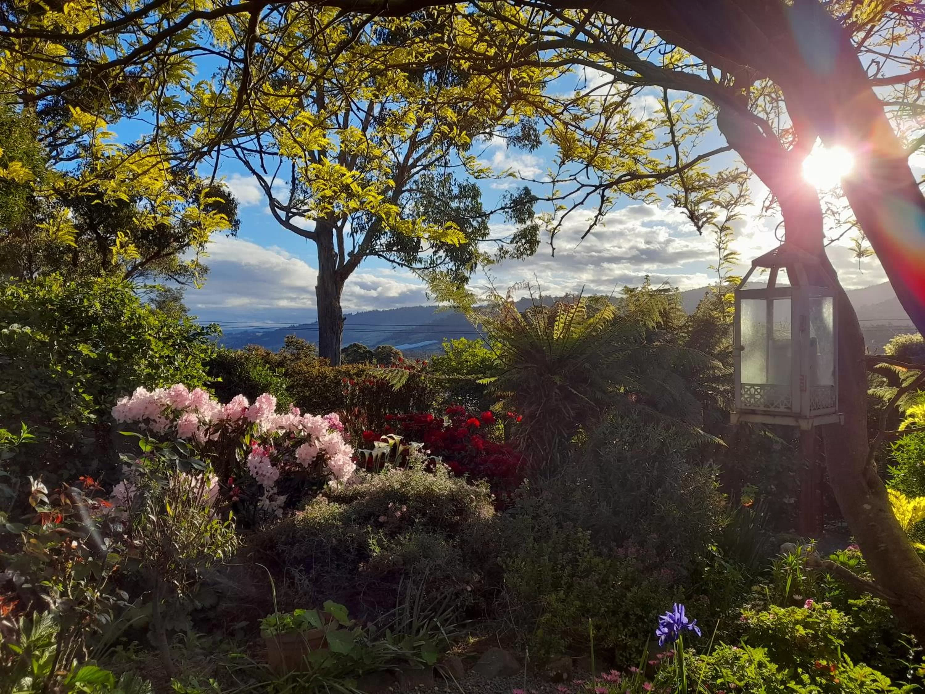 Hillside Bed and Breakfast