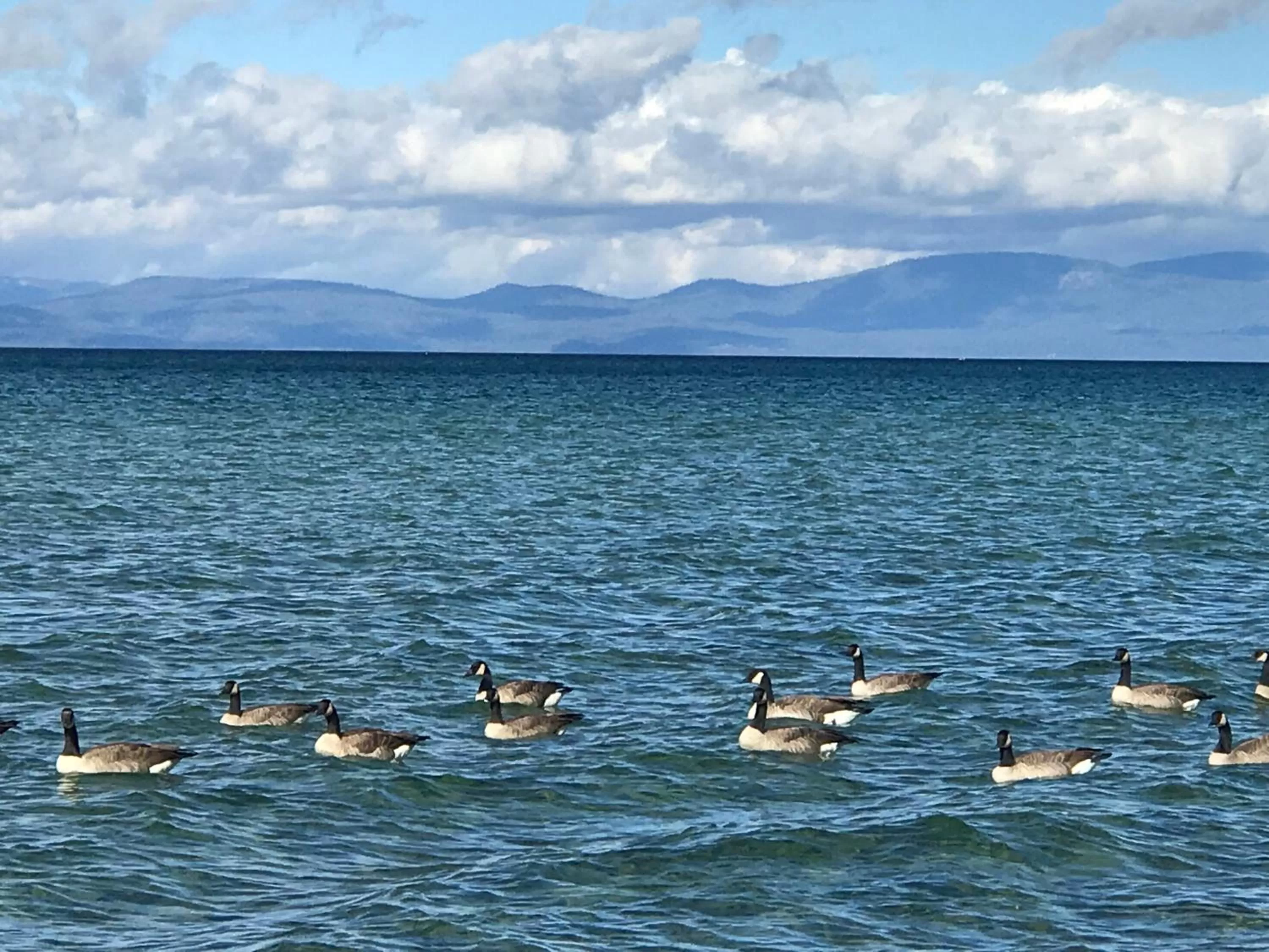 Beach in Paradice Motel