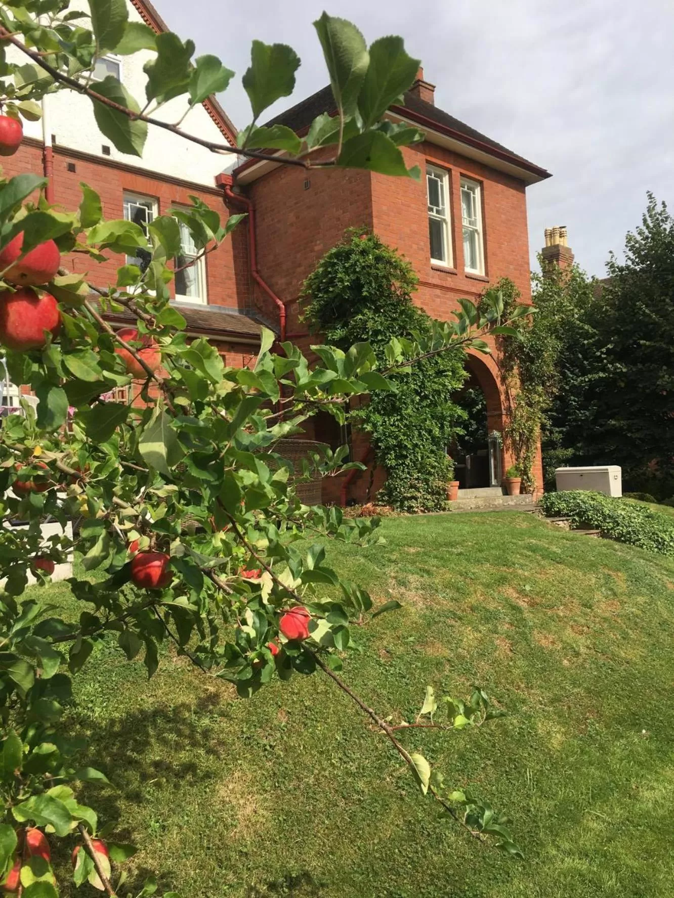 Garden view, Garden in Copper Beech House