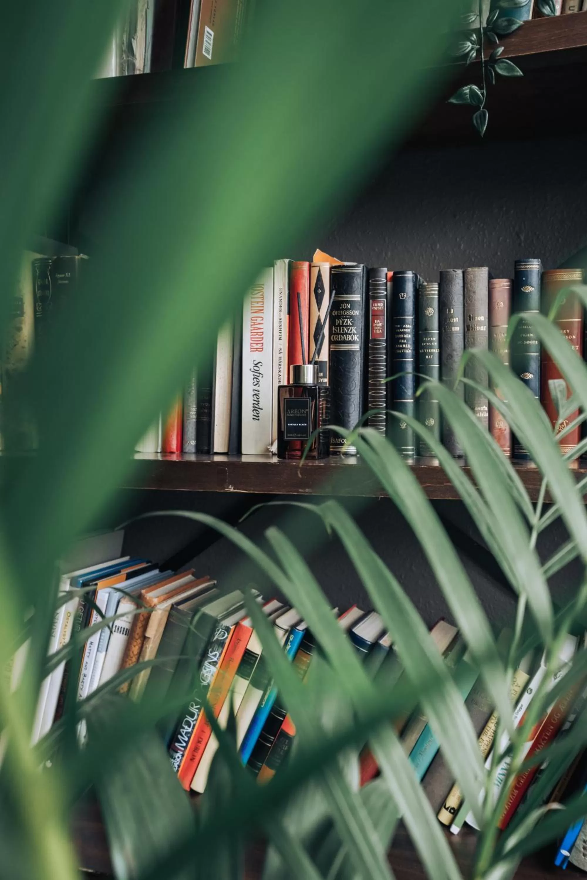 Library in Brim Hotel