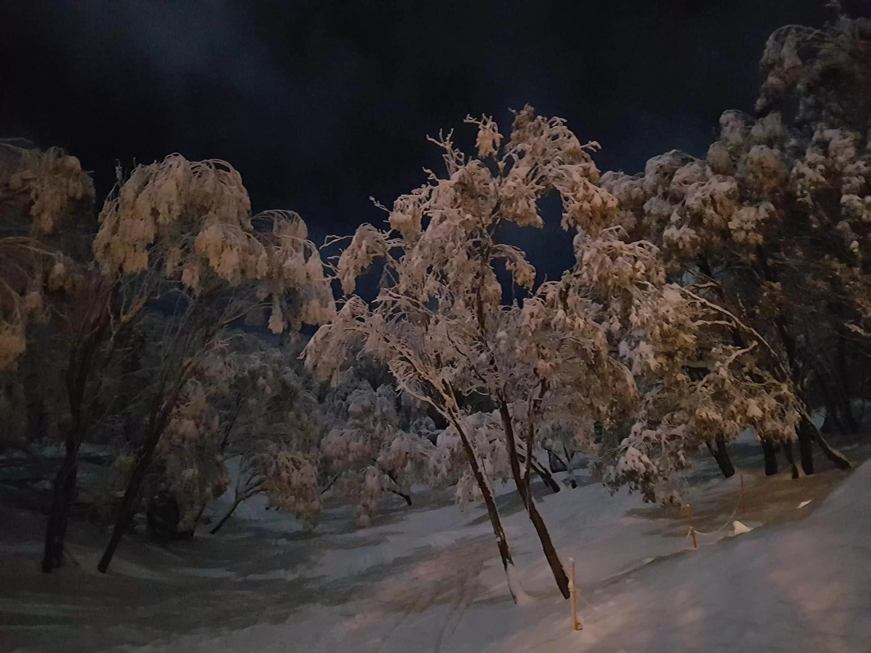 Neighbourhood in Cedarwood Apartments