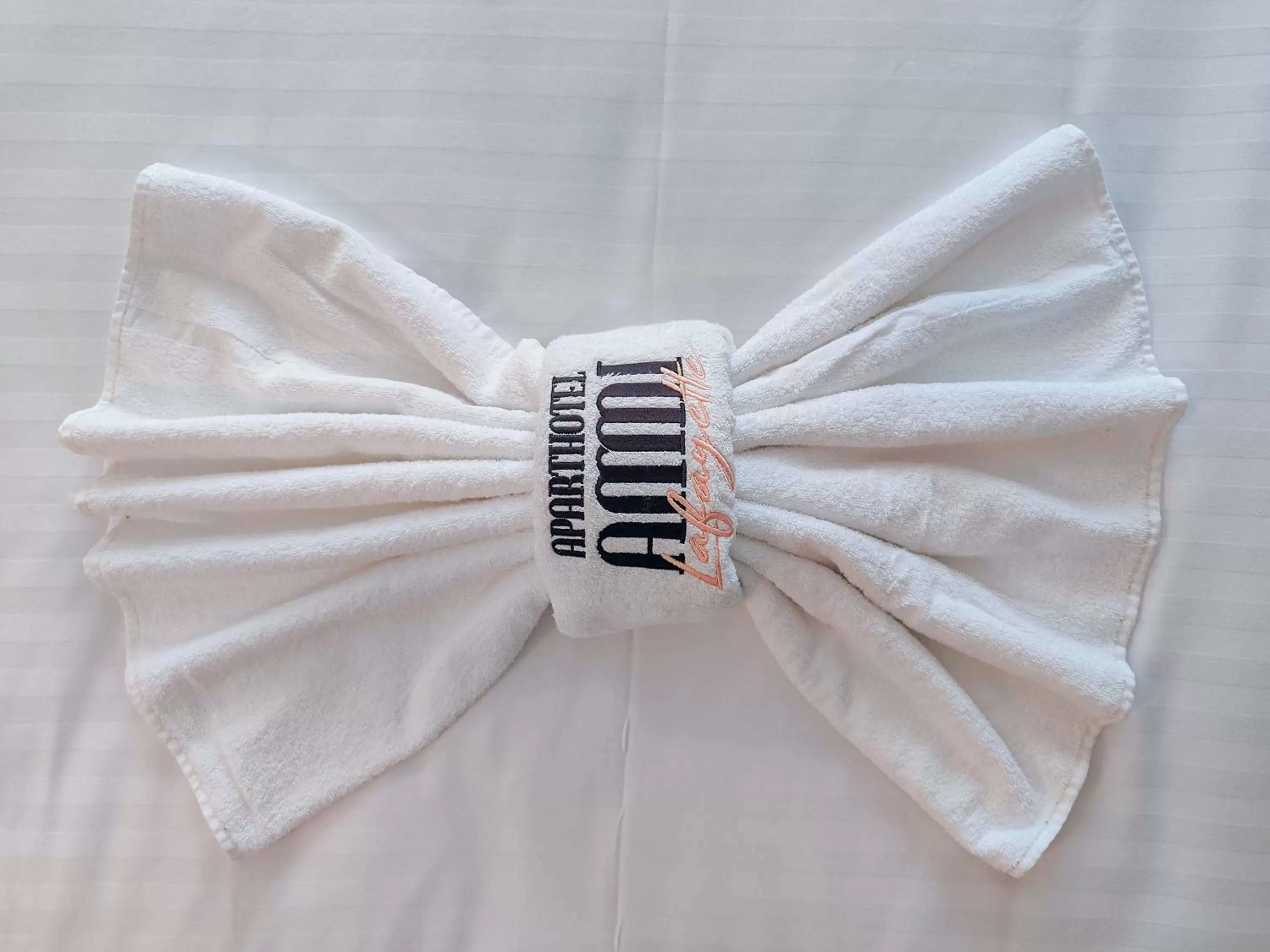 towels in Hotel Aparthotel AMMI Nice Lafayette