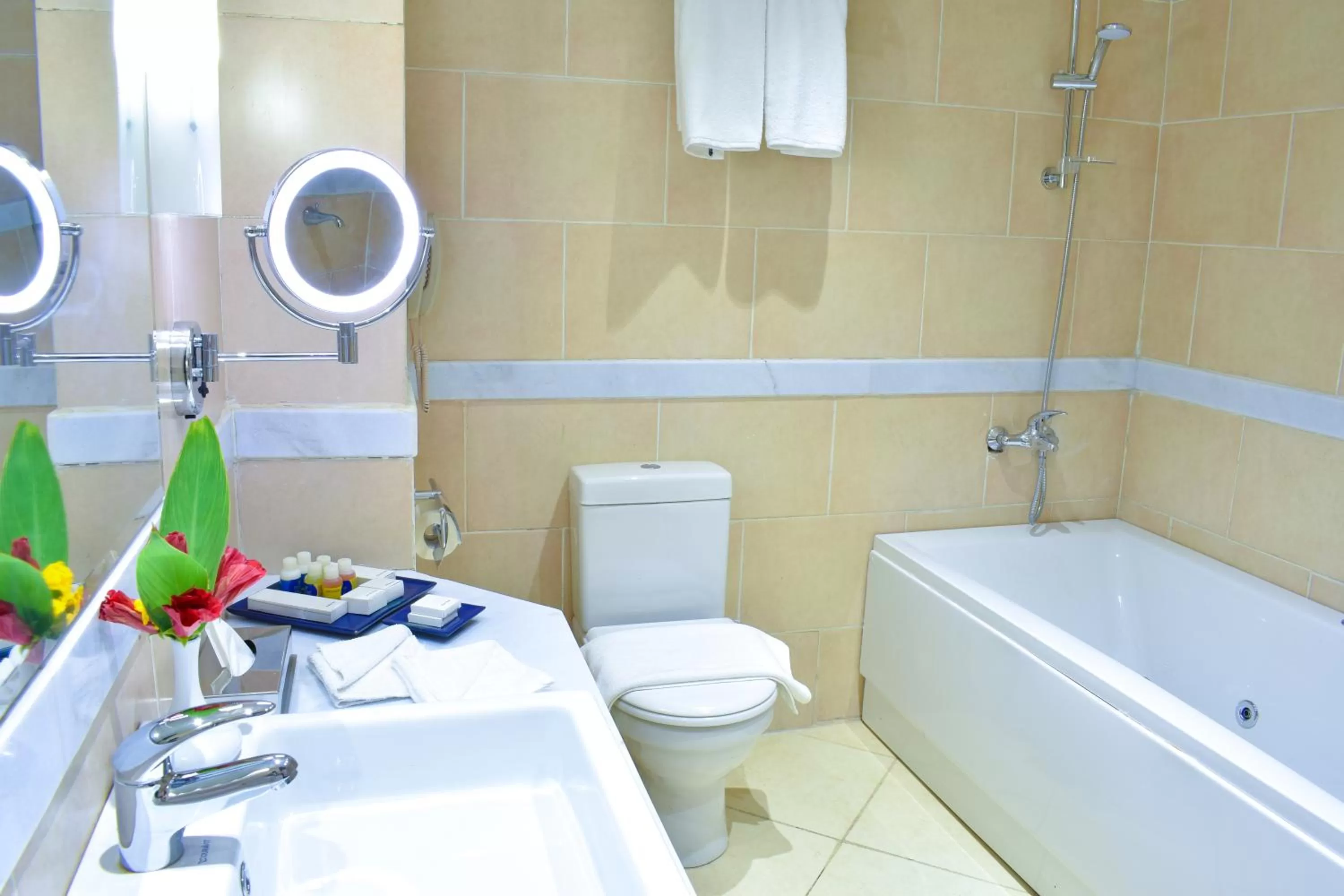 Toilet in Parrotel Lagoon Waterpark Resort