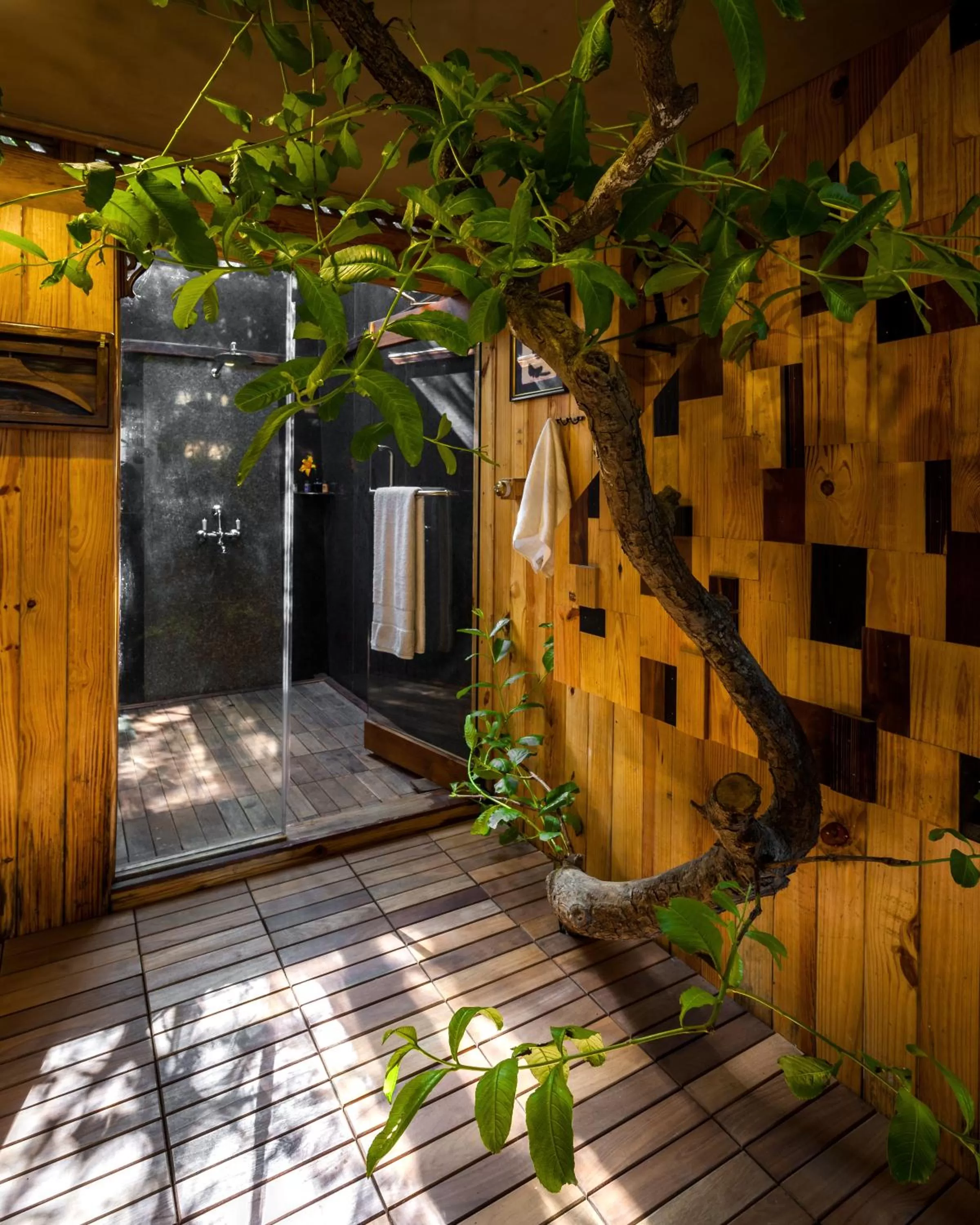 Shower in The Machan