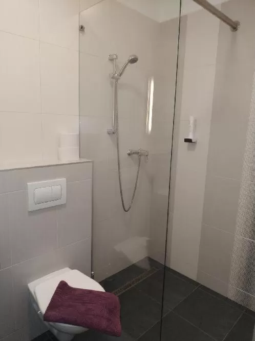 Bathroom in Motel Vega