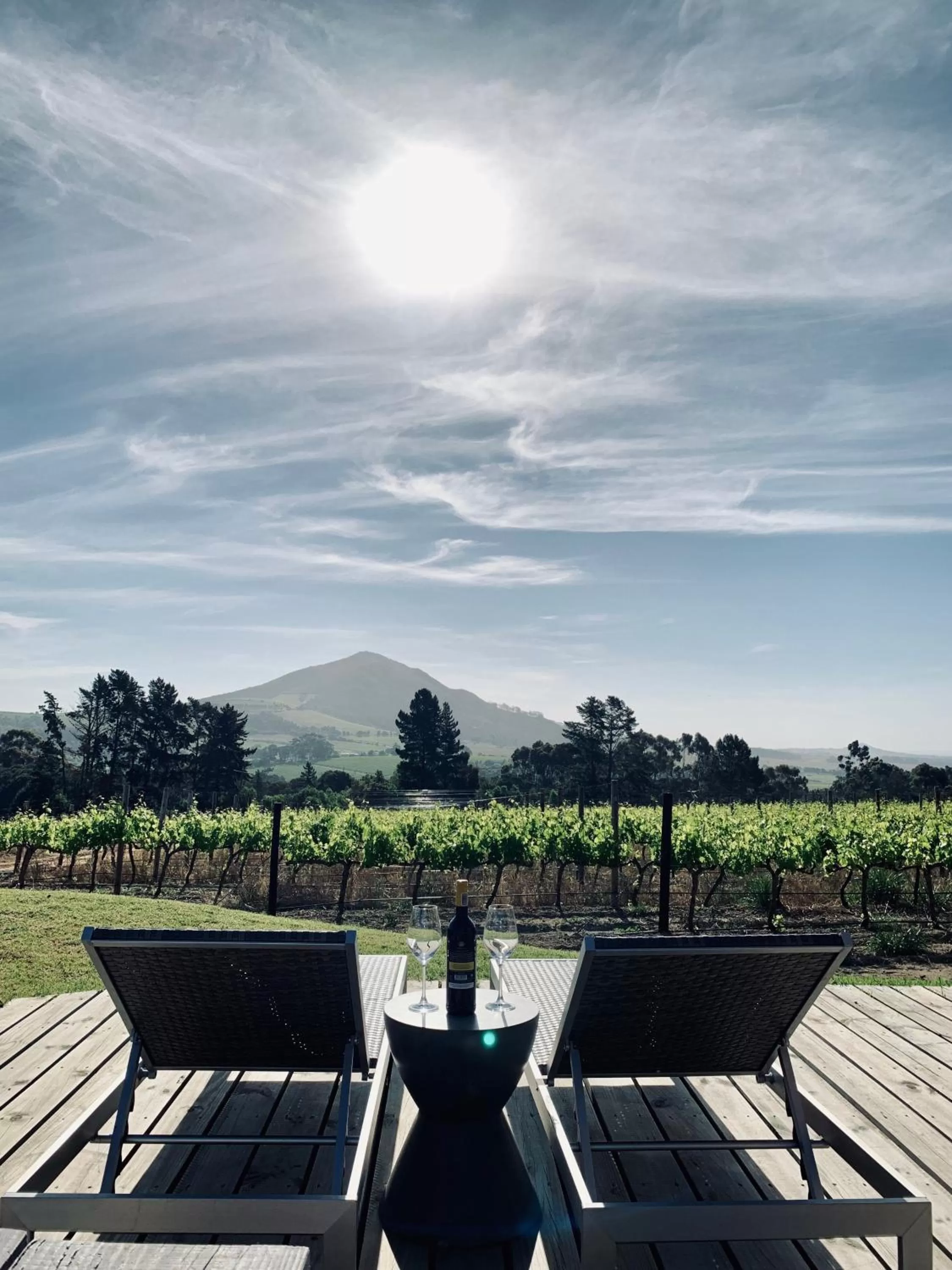 Day in Marianne Wine Estate