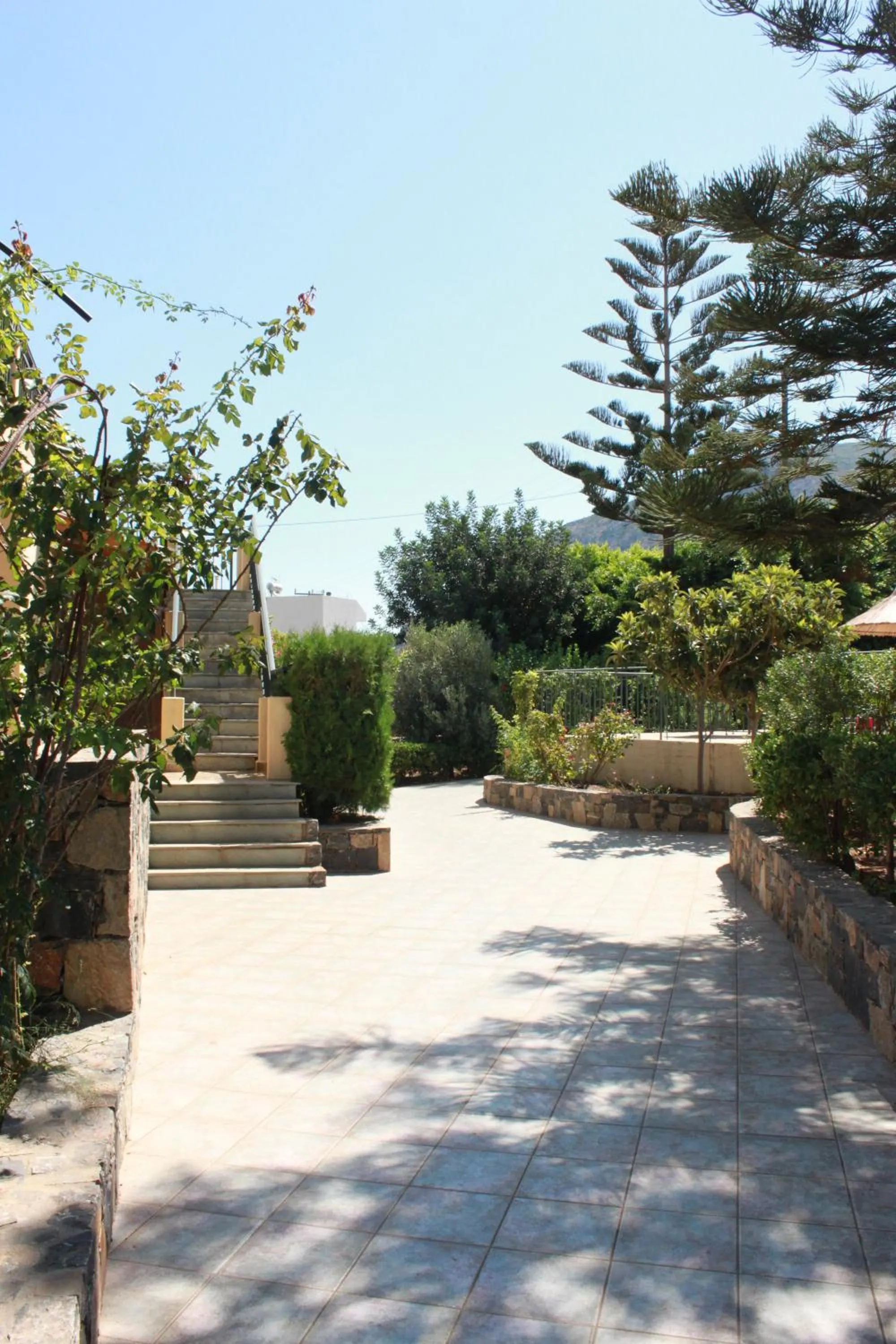 Area and facilities in Villa Medusa