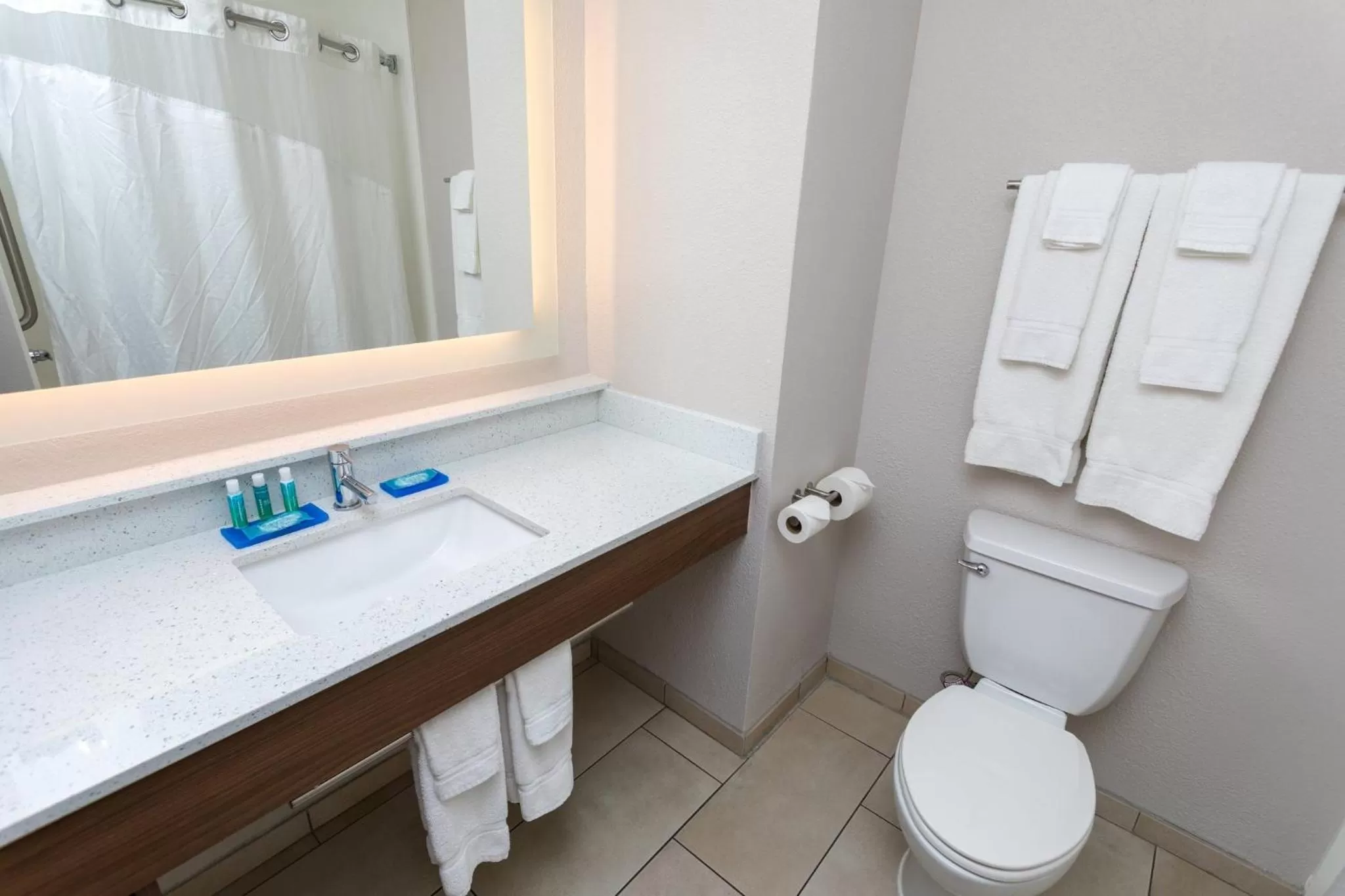 Bathroom in Holiday Inn Express Hotel & Suites Athens by IHG
