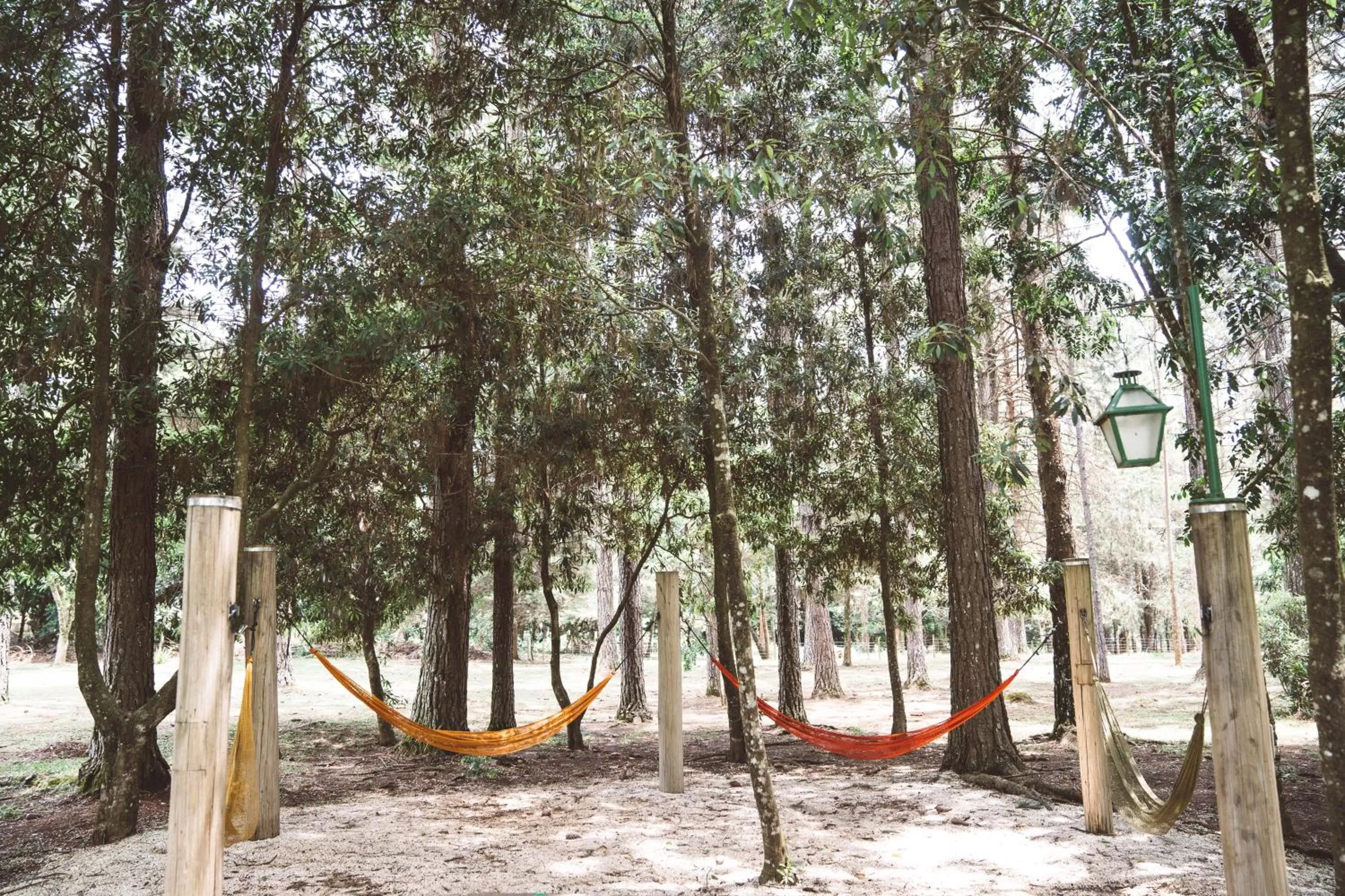 Garden in Pousada Betânia