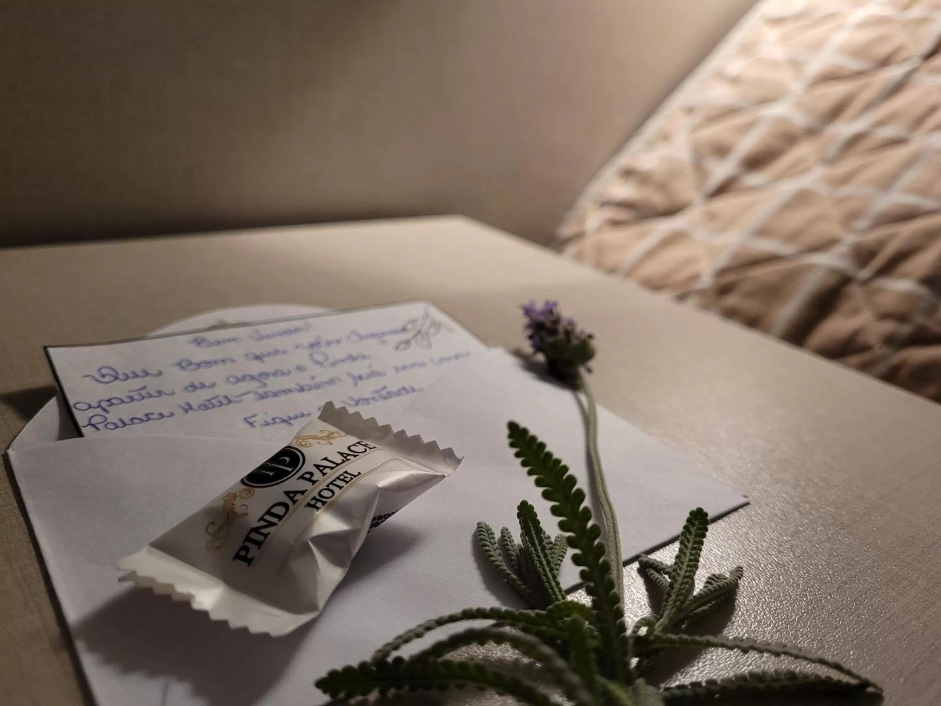 Decorative detail, Bed in Pinda Palace Hotel