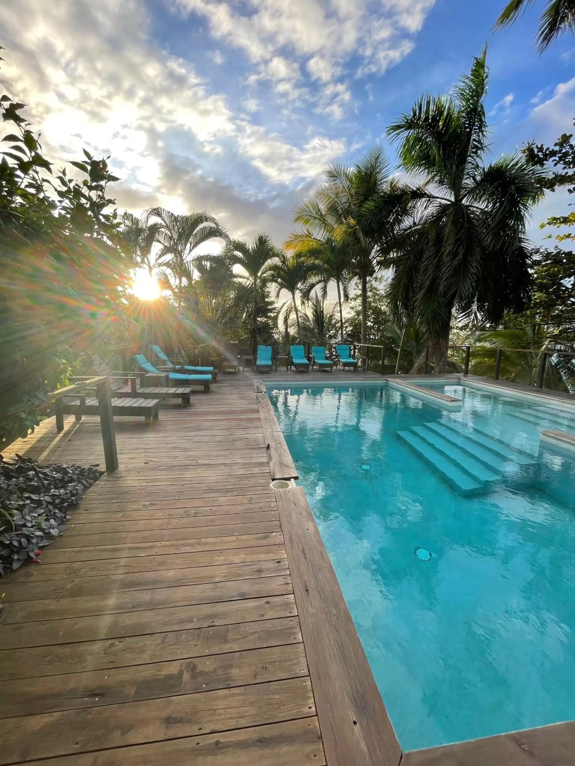 Swimming Pool in Bird Island Bungalows